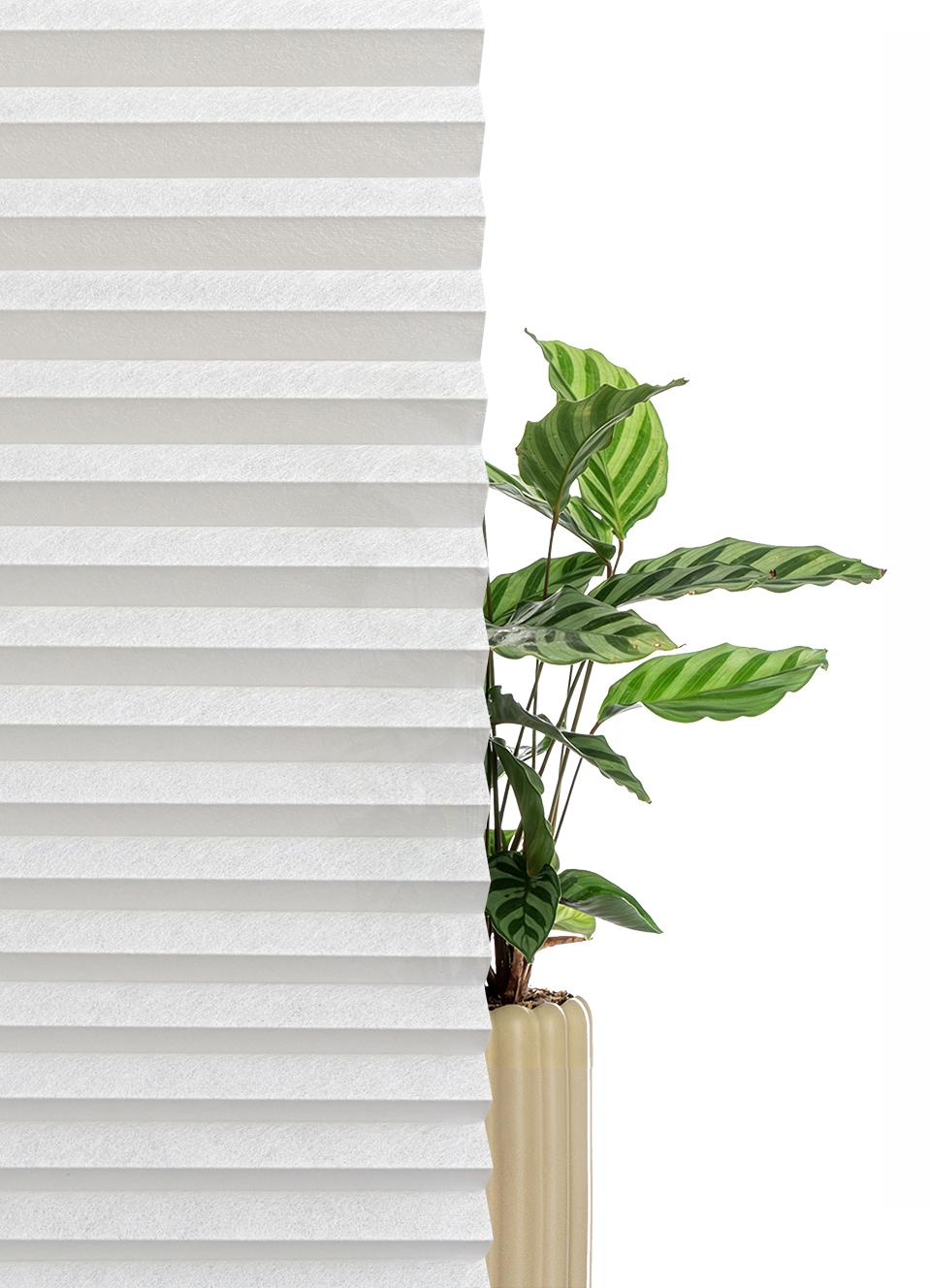 GOODproduct Plissé »LORRANA« Lichtschutz ohne Bohren verspannt Fixmass, moderner Lichtschutz, flexibel verspannt - NEUHEIT!