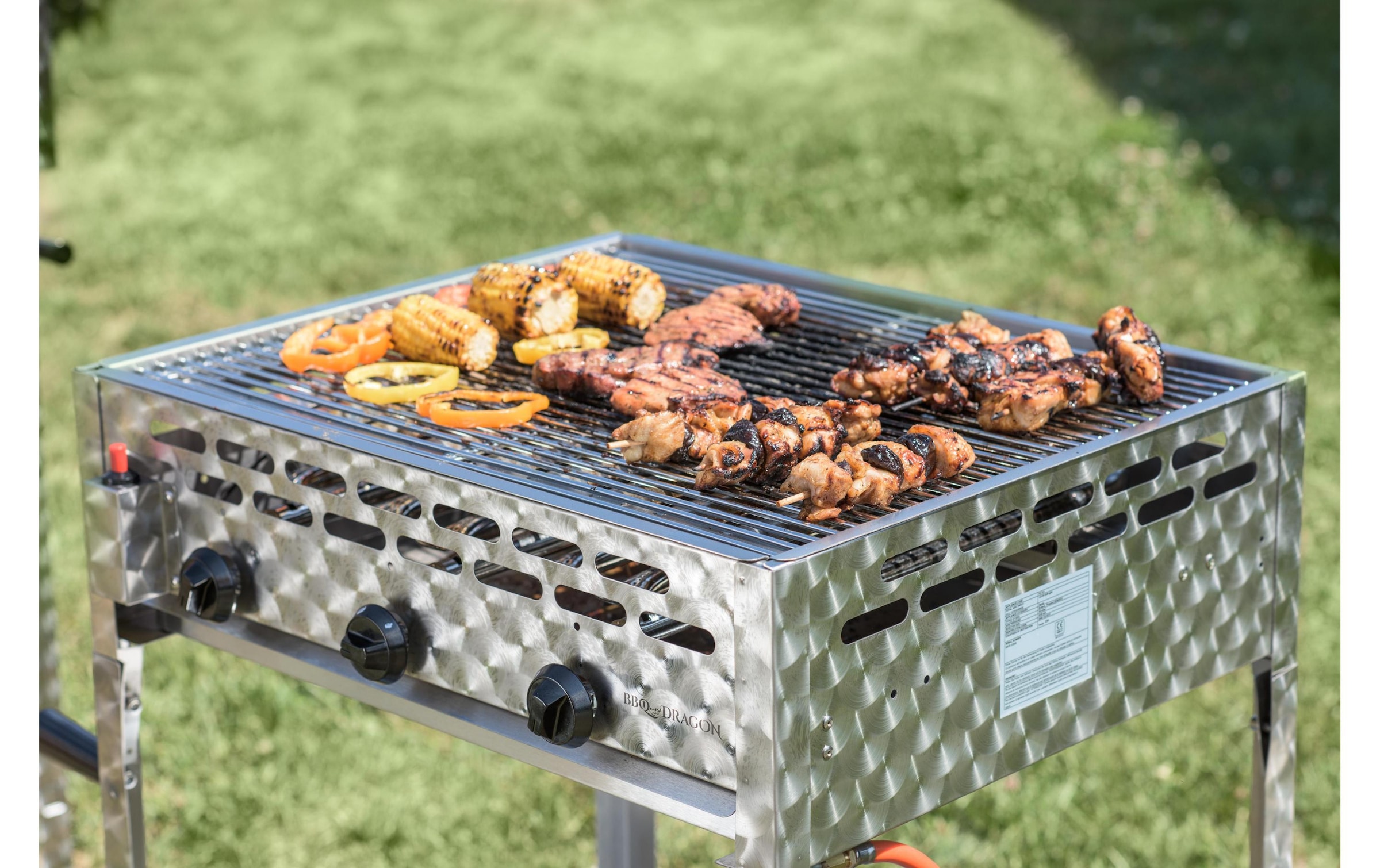 Gasgrill »BBQ Dragon Bräter, BBQ«