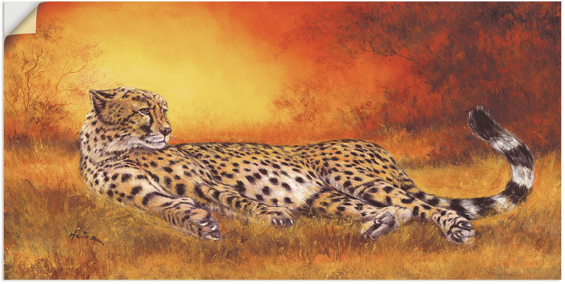 St.) günstig Geparden Bilder, Artland Wandbild »Gepard«, kaufen (1