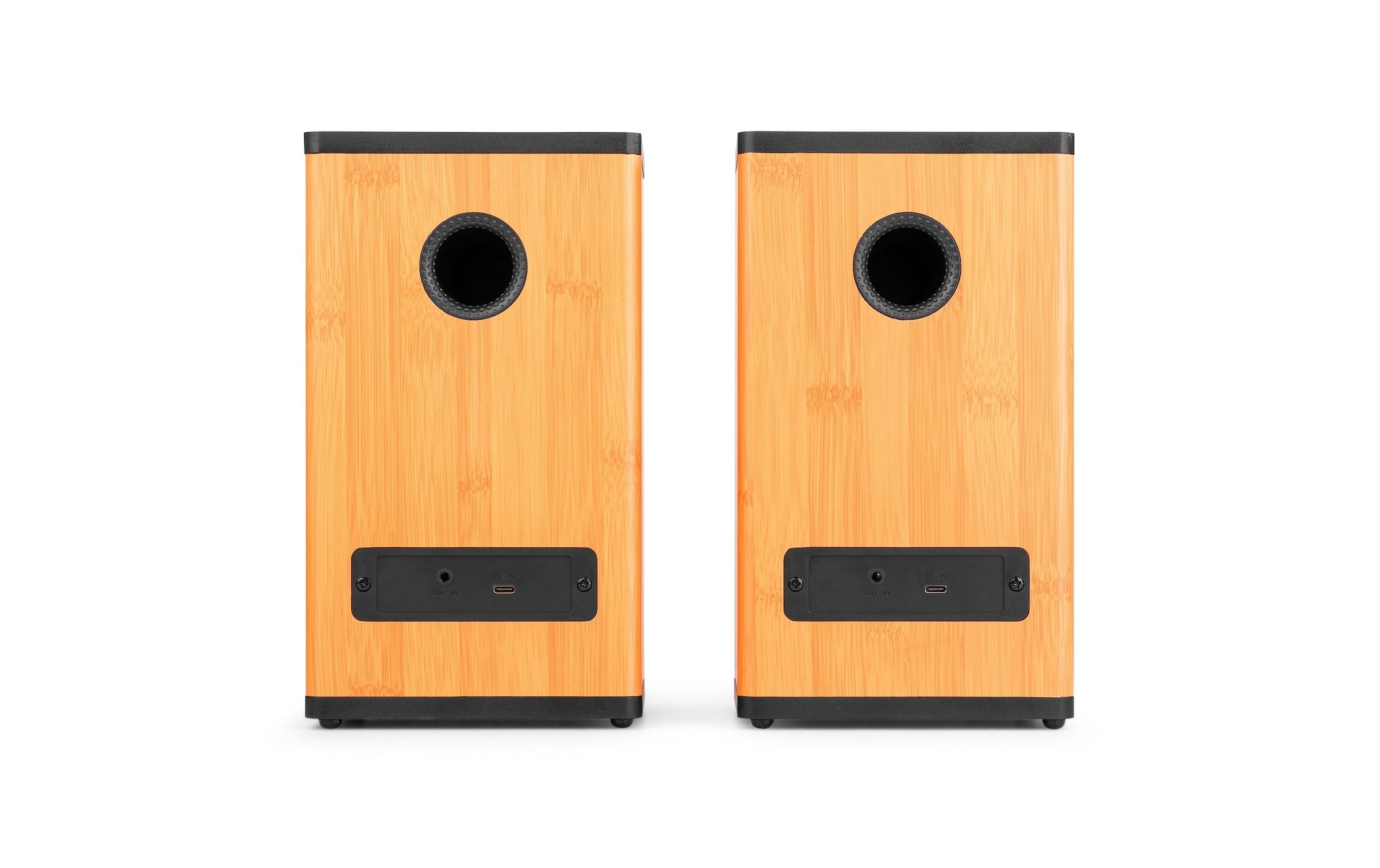 AUDIZIO Regal-Lautsprecher »BS20-BM 50W, BT, Akku« ( )