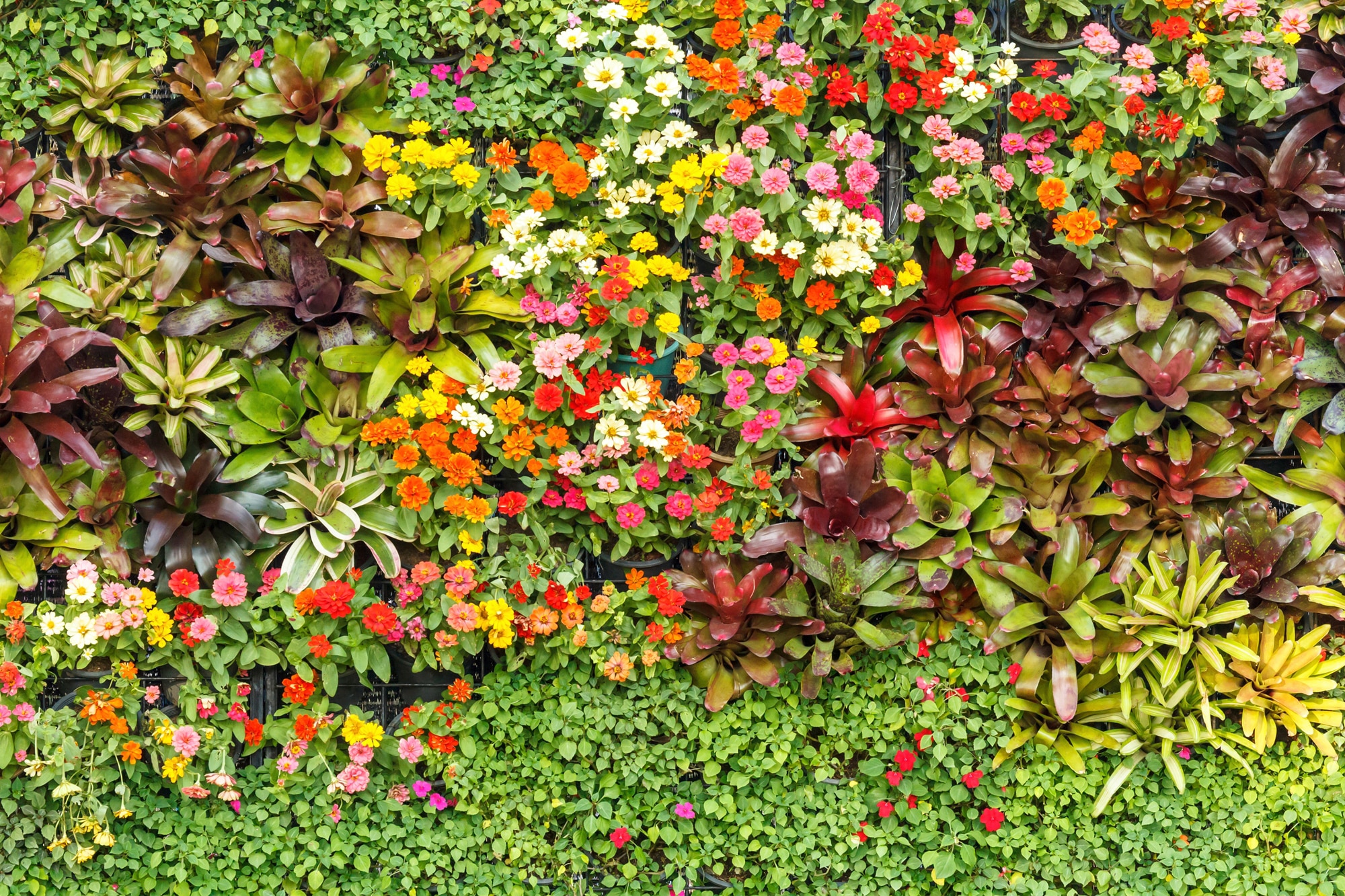 Image of Papermoon Fototapete "BLUMEN-ABSTRAKT MUSTER GARTEN PFLANZEN DEKOR NATUR"