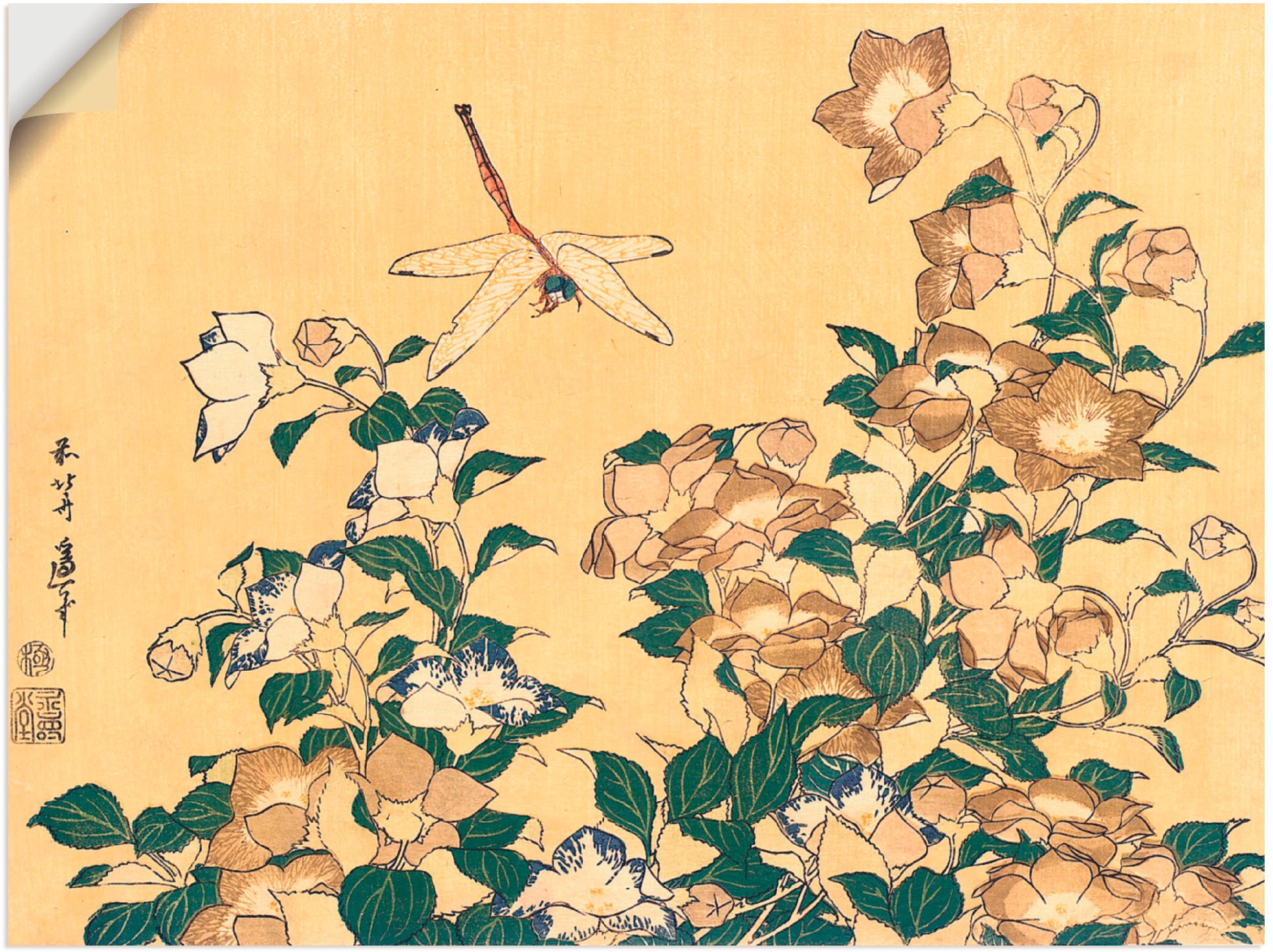 Image of Artland Wandbild »Chinesische Glockenblume und Libelle«, Blumen, (1 St.), in vielen Grössen & Produktarten -Leinwandbild, Poster, Wandaufkleber / Wandtattoo auch für Badezimmer geeignet bei Ackermann Versand Schweiz