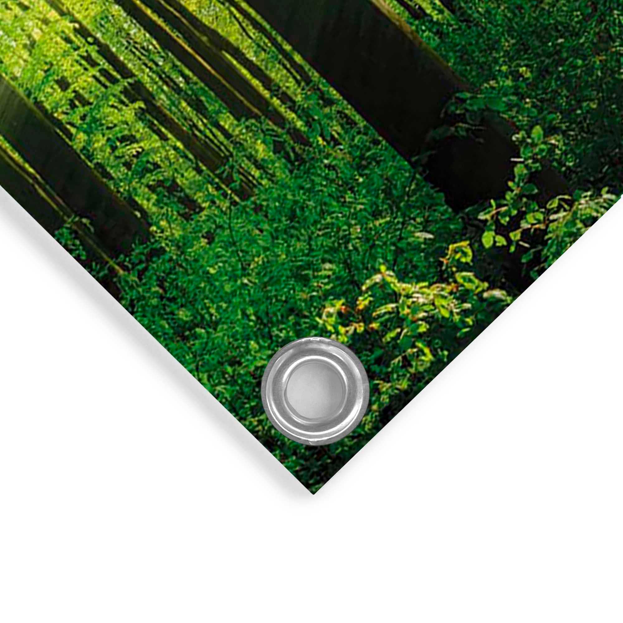 Reinders! Poster »Sommerwald«