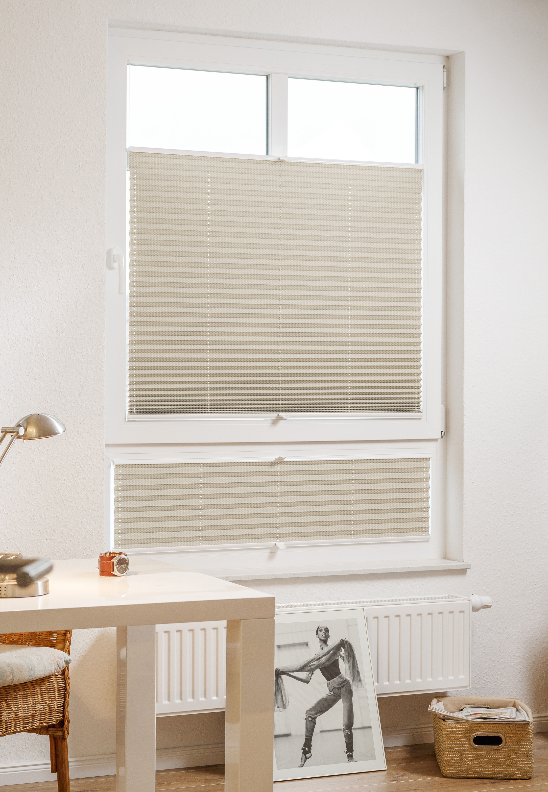 Image of sunlines Plissee nach Mass »Classic Style Energy Saving«, verdunkelnd, verspannt bei Ackermann Versand Schweiz