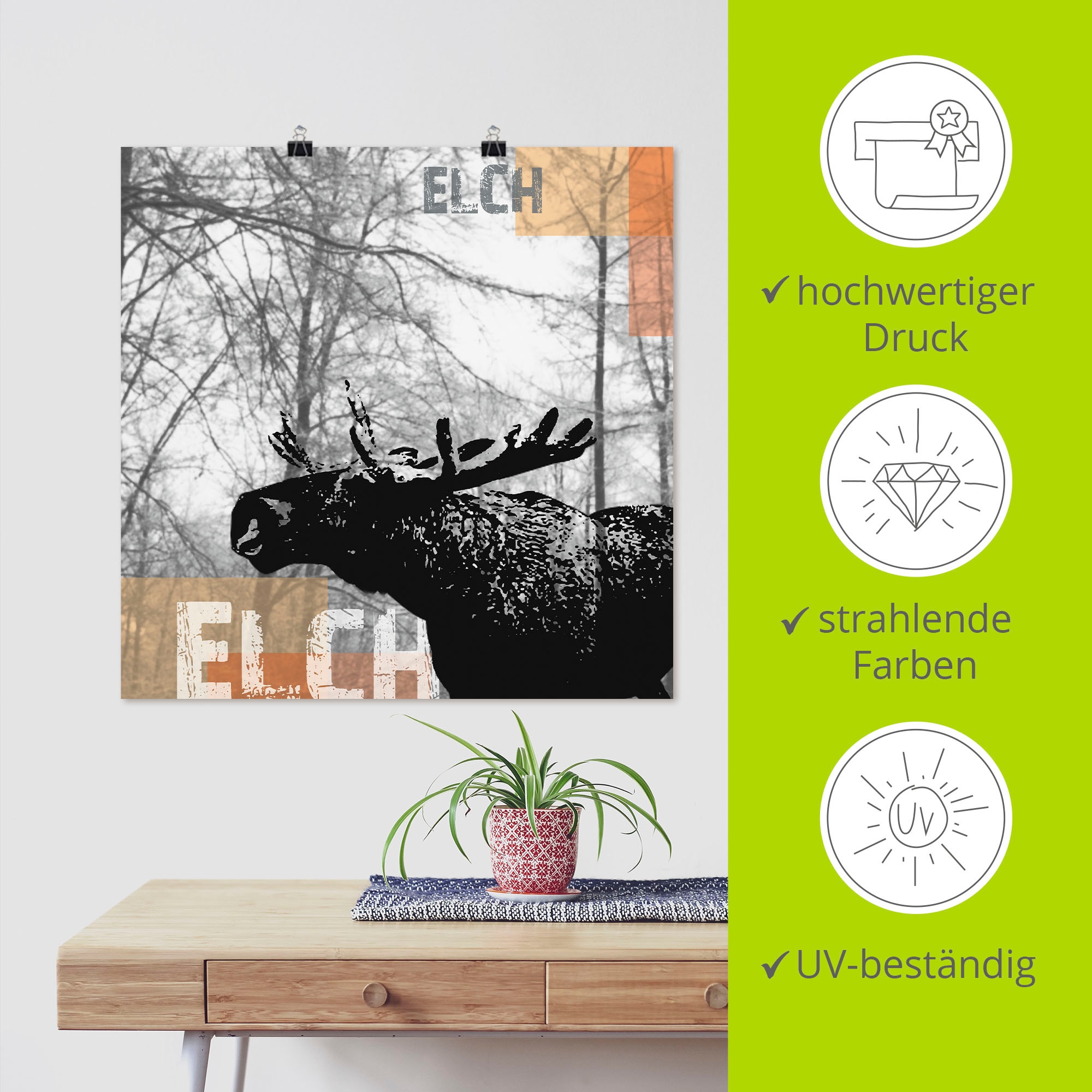 Artland Poster »Elch«, Wildtiere, (1 St.), als Alubild, Leinwandbild, Wandaufkleber oder Poster in versch. Grössen