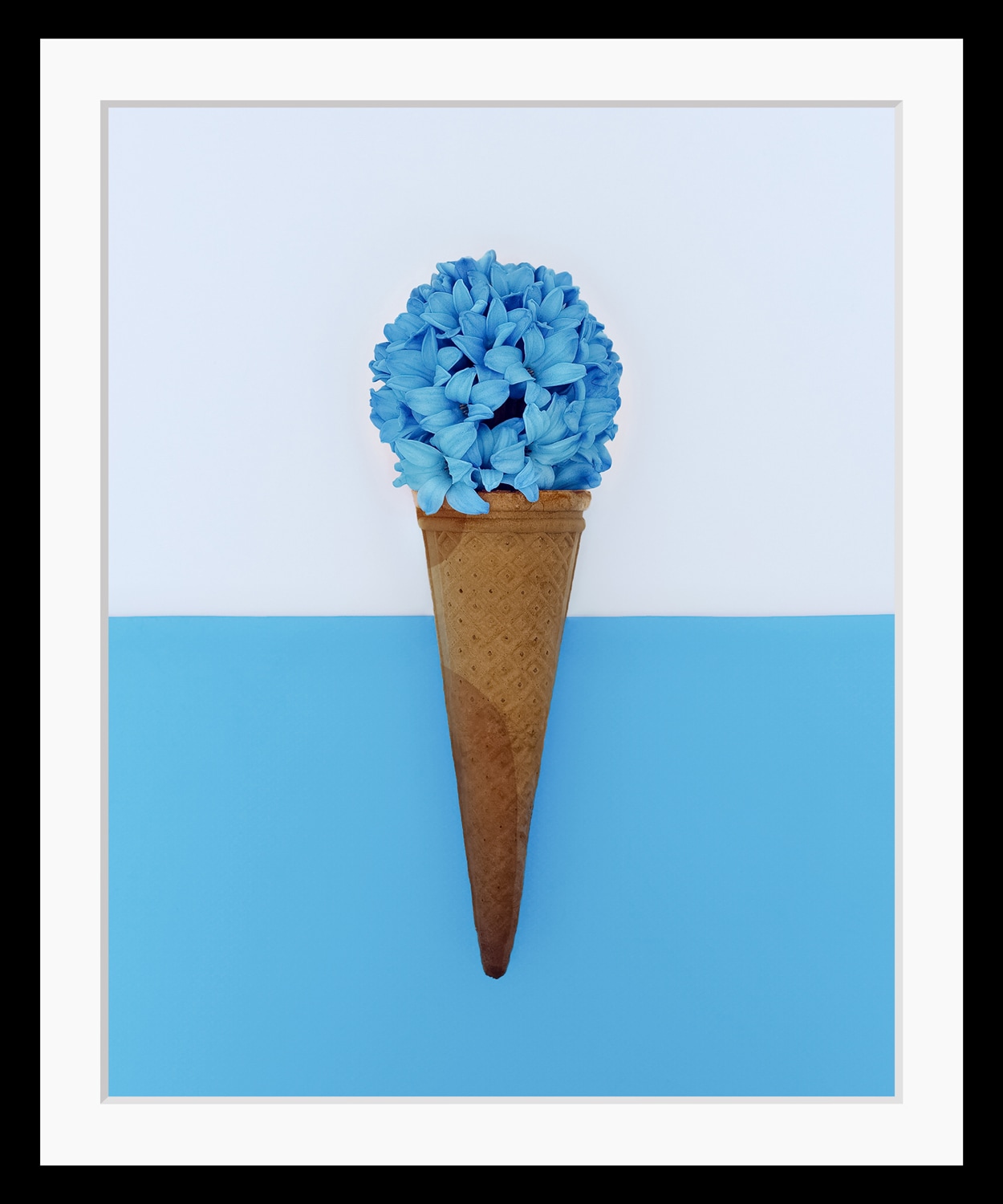 Image of queence Bild "Kira" Blumen Eis Humor Pflanzen Pflanzenbilder Süssigkeiten Süssspeisen HD Premium Poster-Druck inkl. Holzrahmen