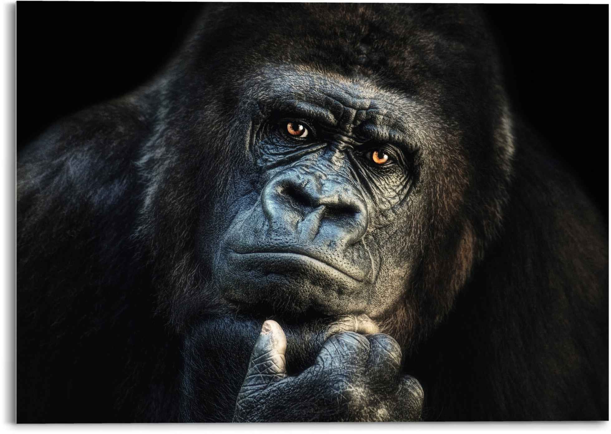 Image of Reinders Glasbild "Glasbild Gorilla Affe - Kräftig - Nachdenklich" Affen 1 Stk. tlg.
