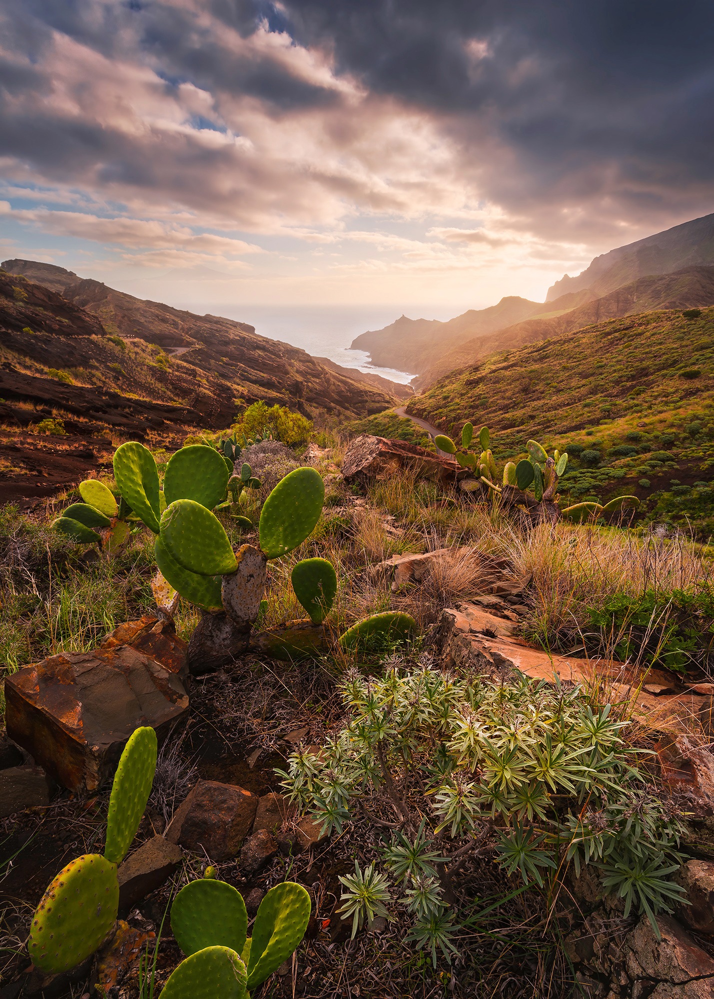 Image of Komar Fototapete »Warmes Licht«, mehrfarbig-natürlich-bedruckt bei Ackermann Versand Schweiz
