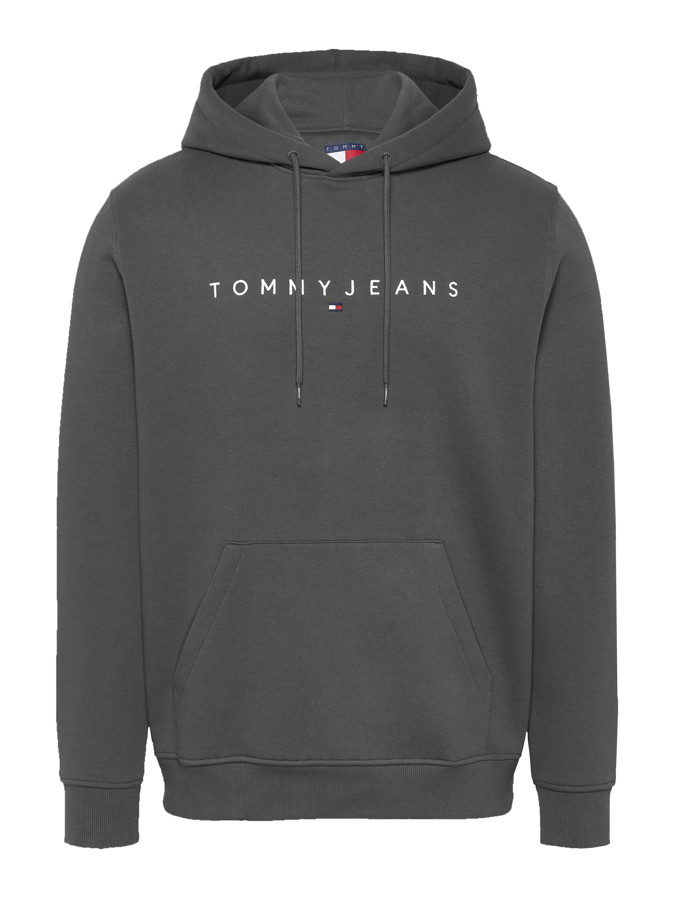 Tommy Jeans Plus Hoodie »TJM REG LINEAR LOGO HOODIE EXT«, in Grosse Grössen, Logodruck