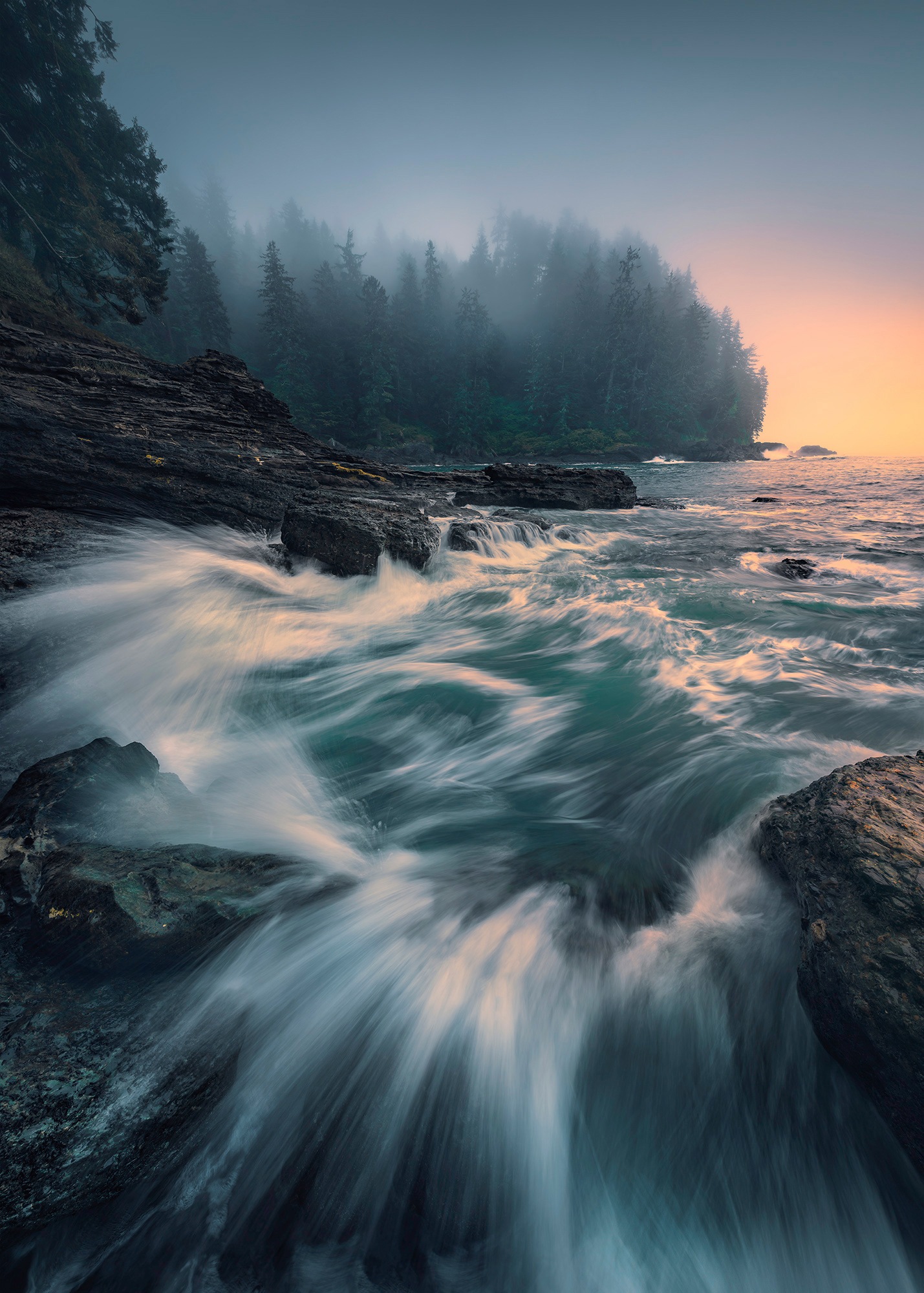 Image of Komar Fototapete »Cry of the Sea«, mehrfarbig-natürlich-bedruckt bei Ackermann Versand Schweiz