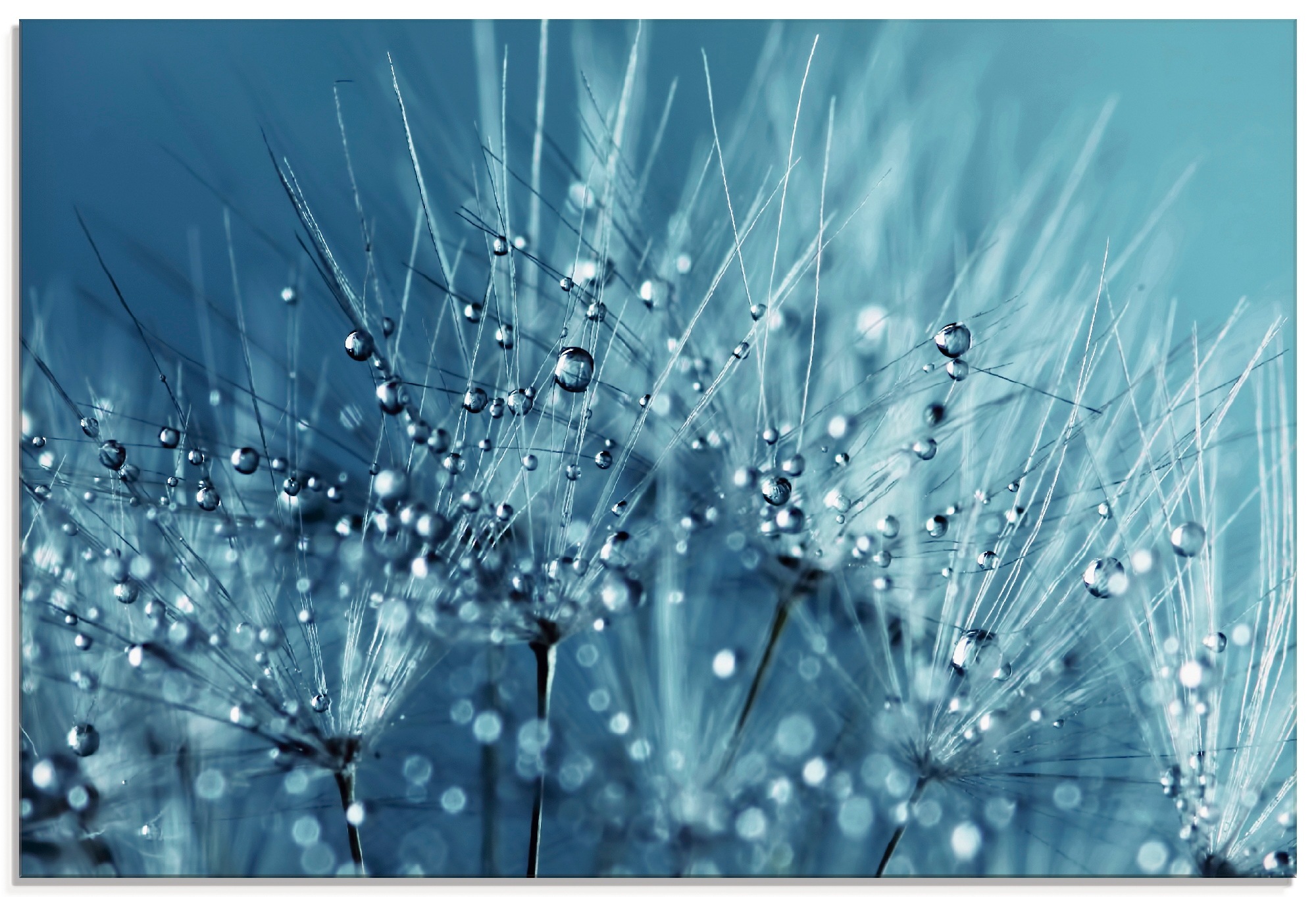 Image of Artland Glasbild "Blaue glitzernde Pusteblume" Blumen 1 Stk. tlg. in verschiedenen Grössen