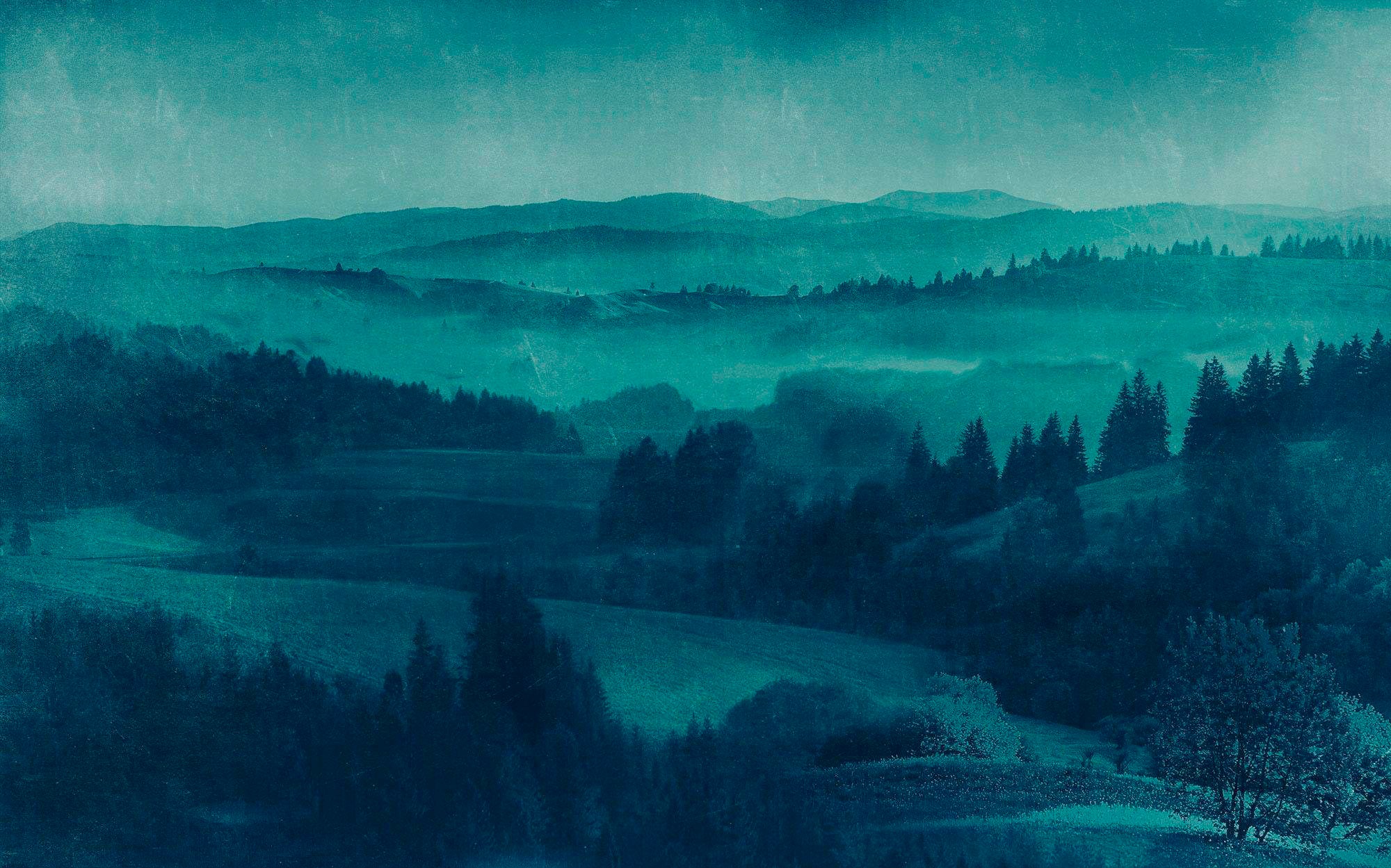 Image of Komar Vliestapete »Pure Twilight«, naturalistisch bei Ackermann Versand Schweiz