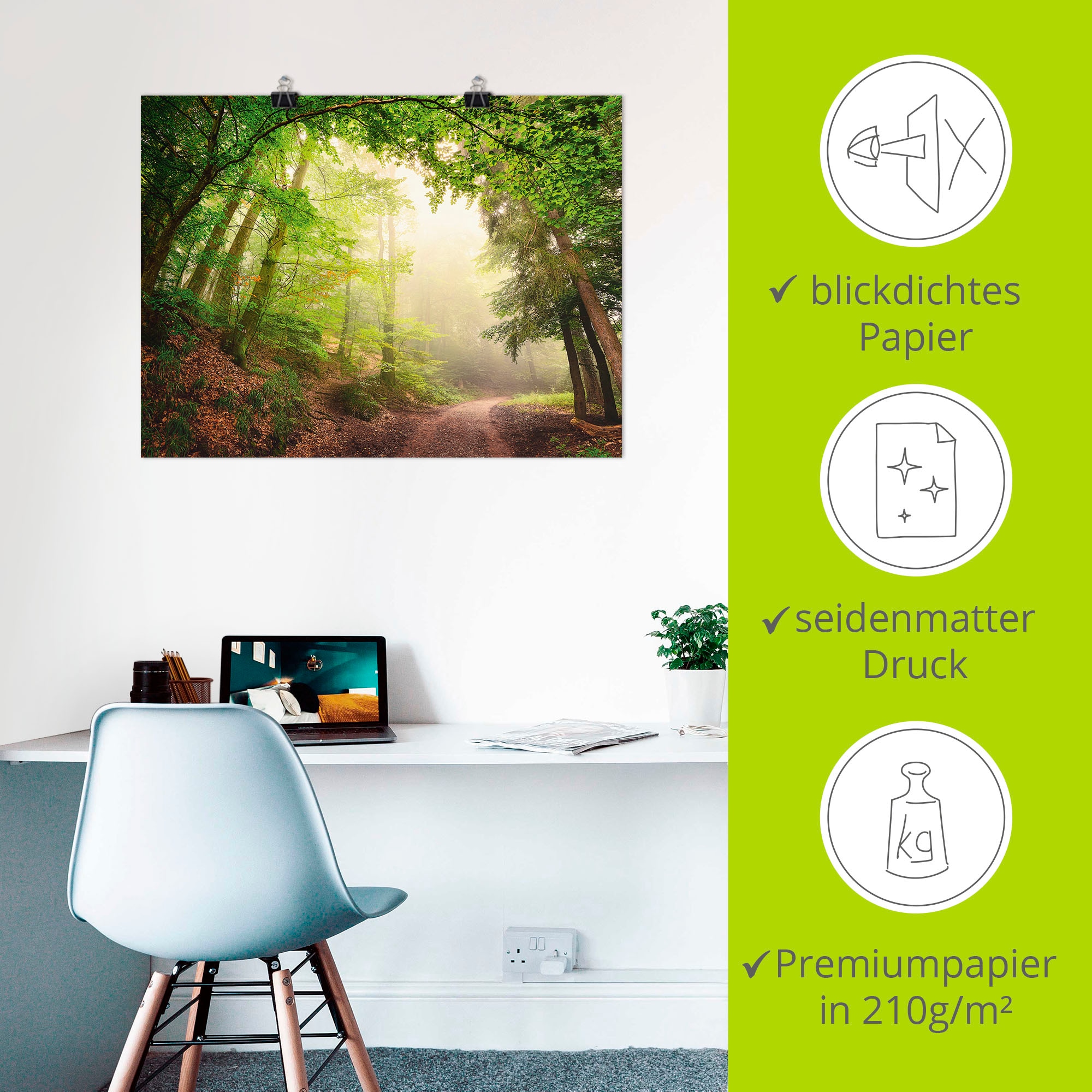 Artland Wandbild »Natürliche Torbögen durch Bäume« Wald 1 Stk. tlg. als Alubild, Poster in verschied. Grössen