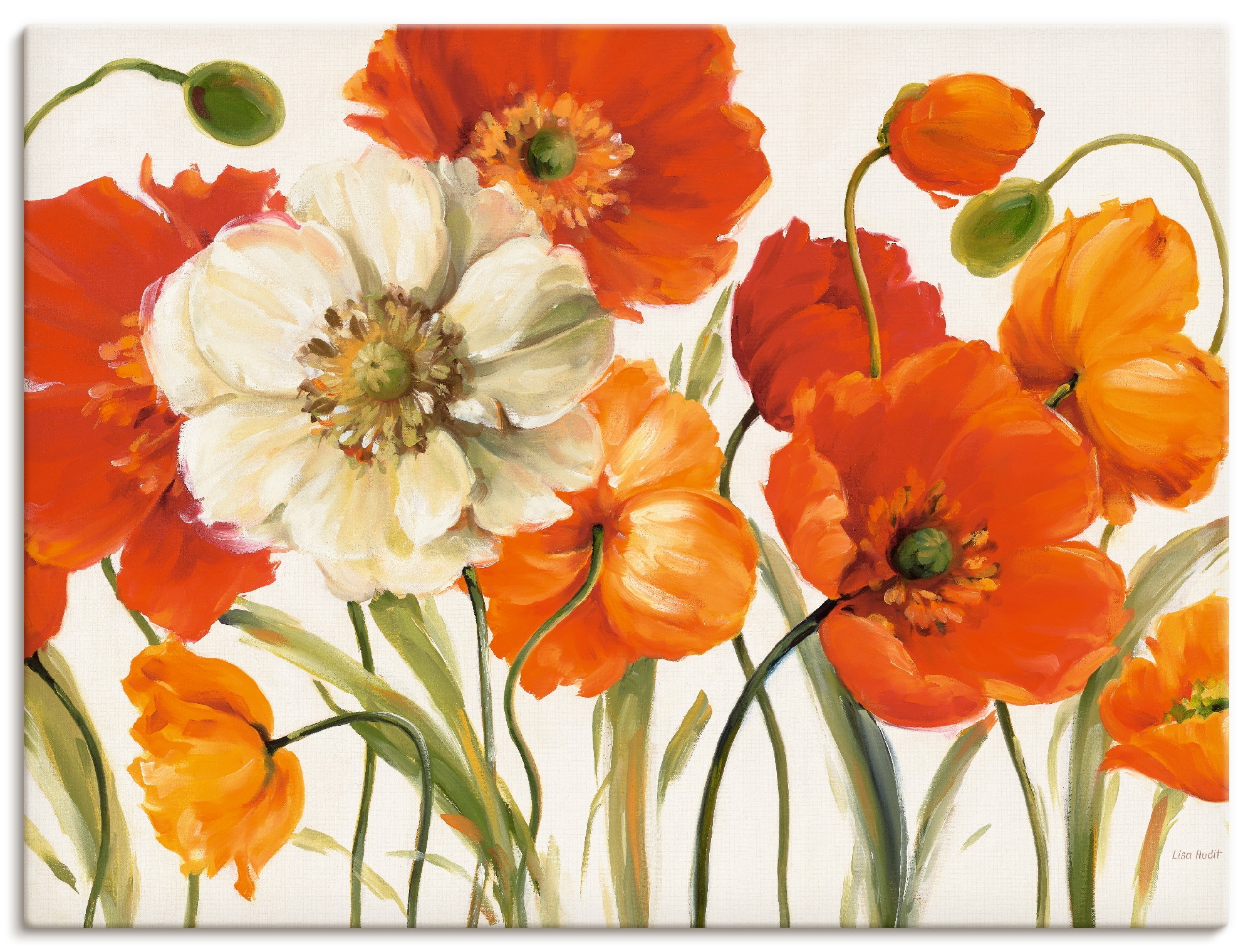 Image of Artland Wandbild "Mohnblumen I" Blumen 1 Stk. tlg. als Leinwandbild, Poster in verschied. Grössen