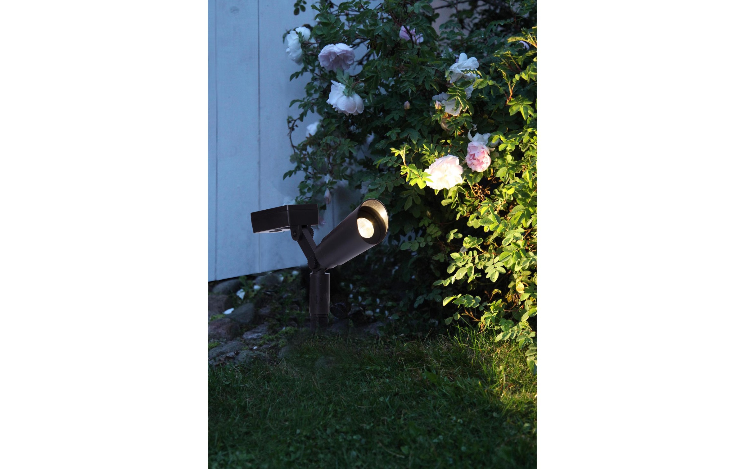 Parforce Traditional Hunting Lampe solaire à LED »Solar Powerspot 2 Stück«