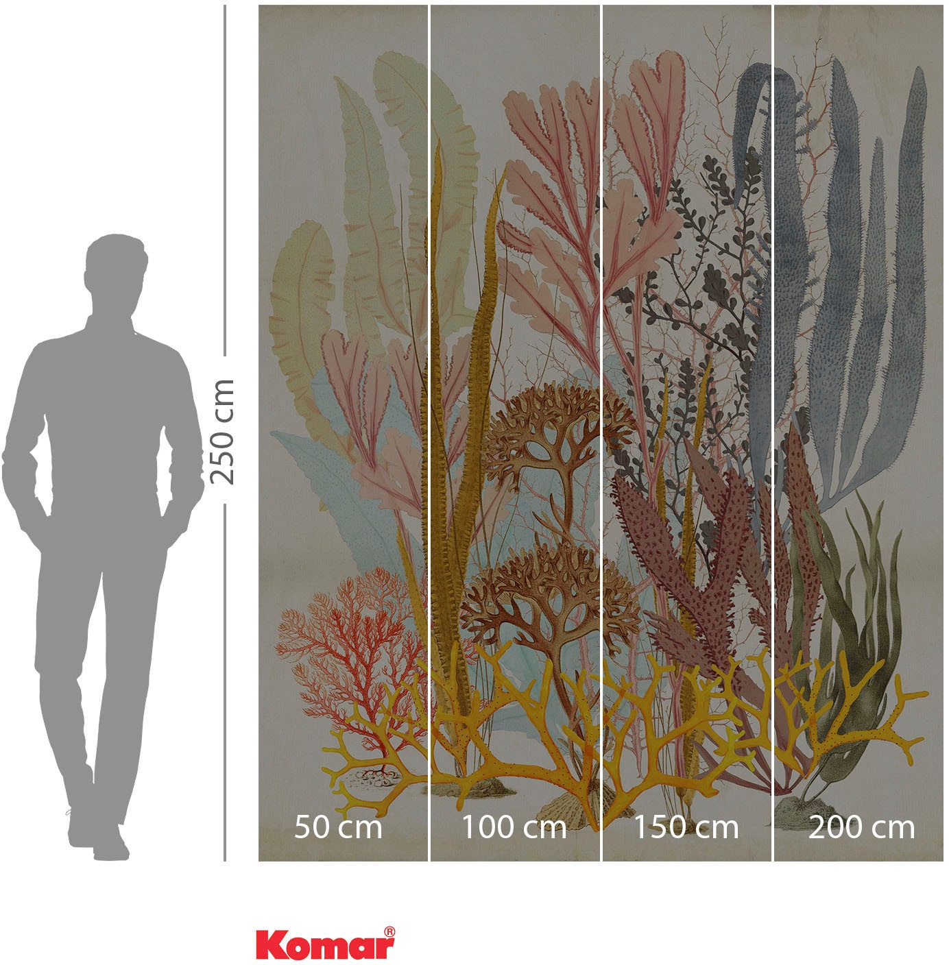 Komar Papier peint intissé »Digitaldruck Vlies -  Catchy Corals - Grösse 200 x 250 cm« imprimé Wohnzimmer, Schlafzimmer