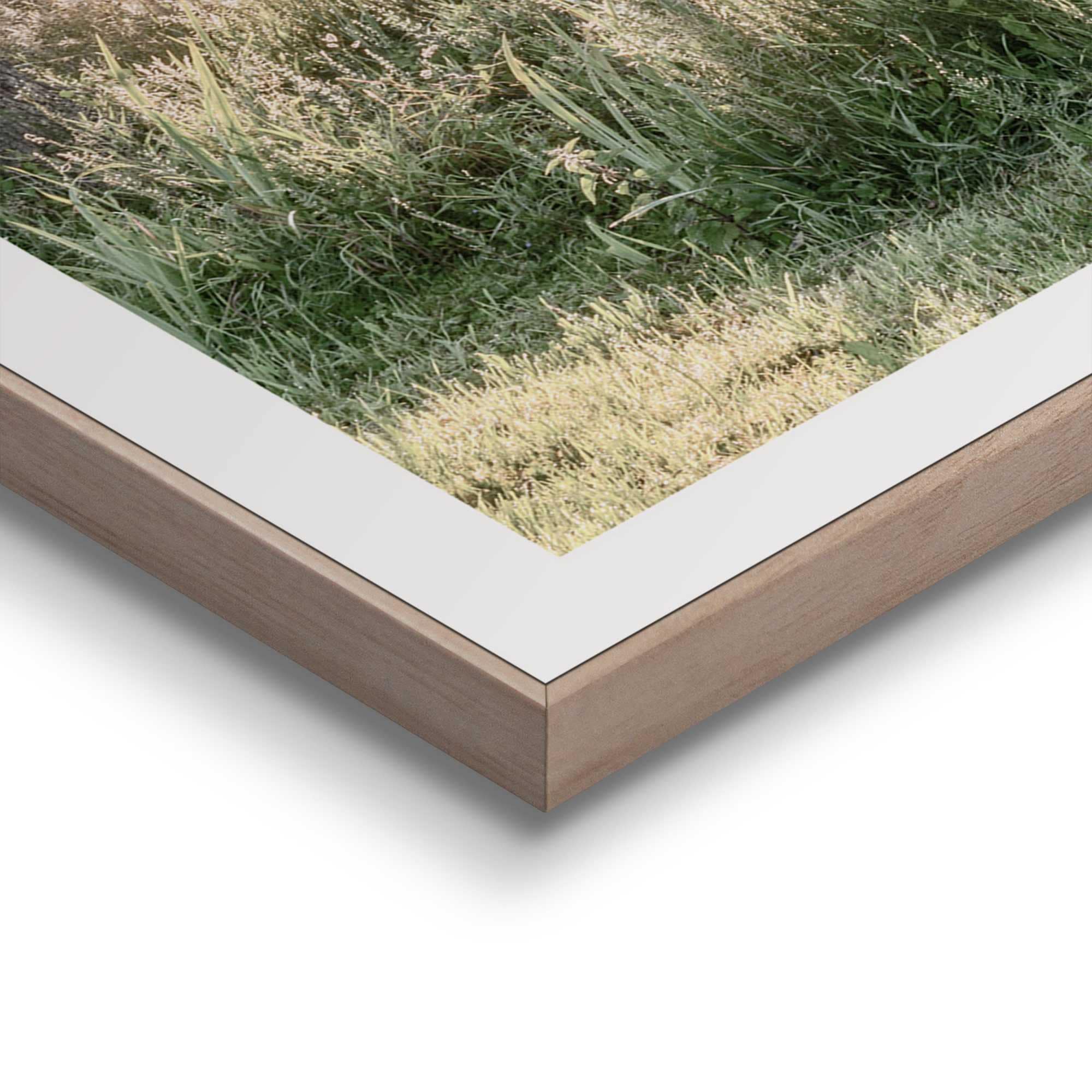 Reinders! Poster »Nature Vibe« Home Office - Grün - MDF - Landschaften - 50x50 cm