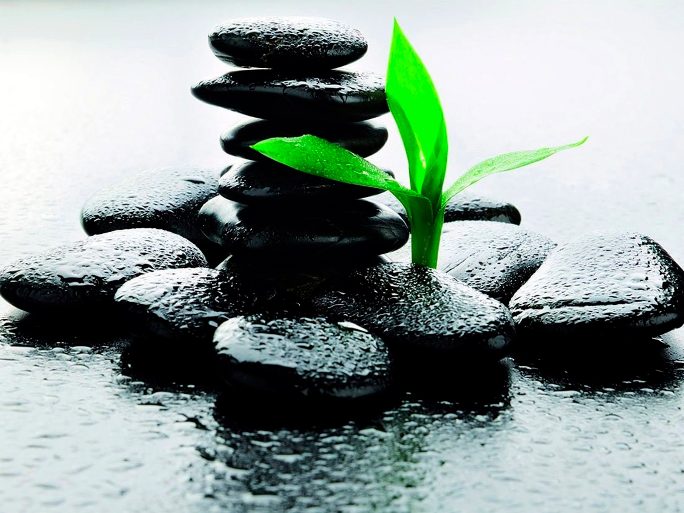 Image of Papermoon Fototapete »Black Stone« bei Ackermann Versand Schweiz