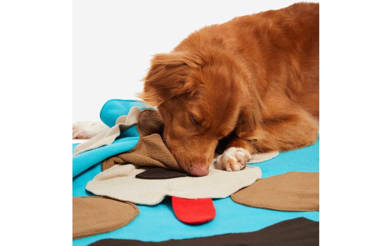 Tier-Intelligenzspielzeug »Sniffpad Buddy«, Polyester