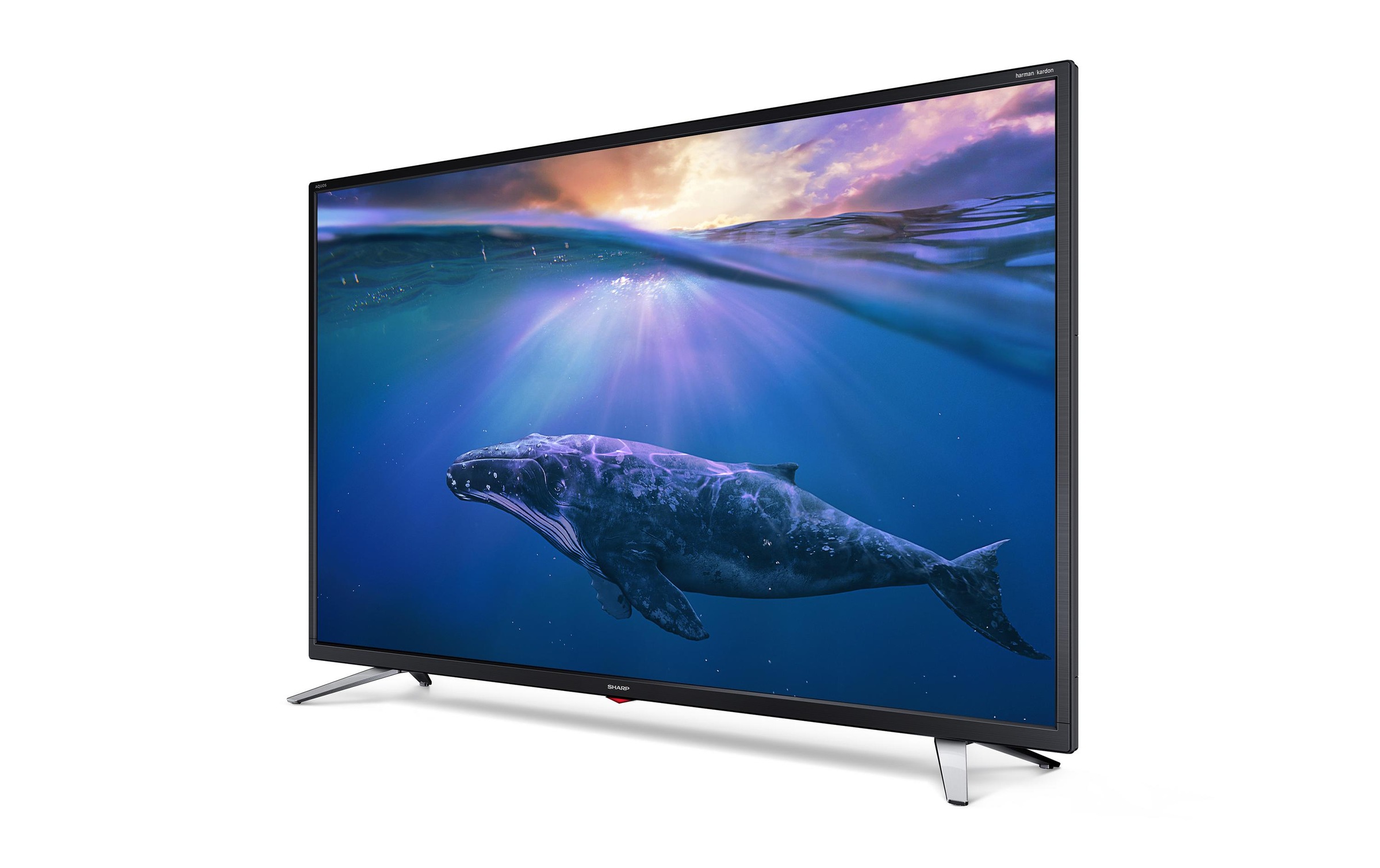 Sharp LCD-LED Fernseher »42CG3E 42 1920 x 1080«, 106 cm/42 Zoll