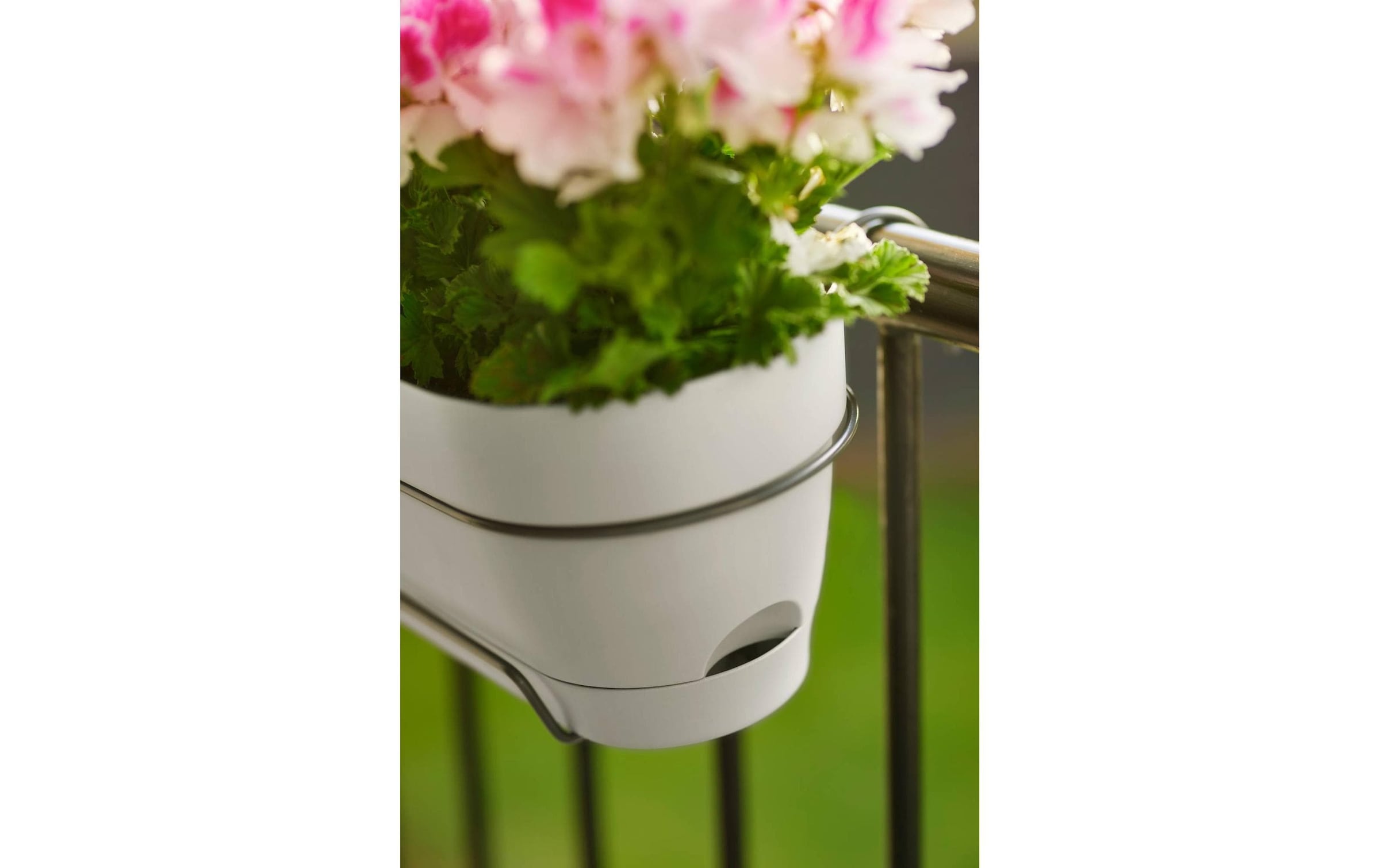 Elho Blumentopf »Vibia Campana Balkonkasten Allin1 50 cm«