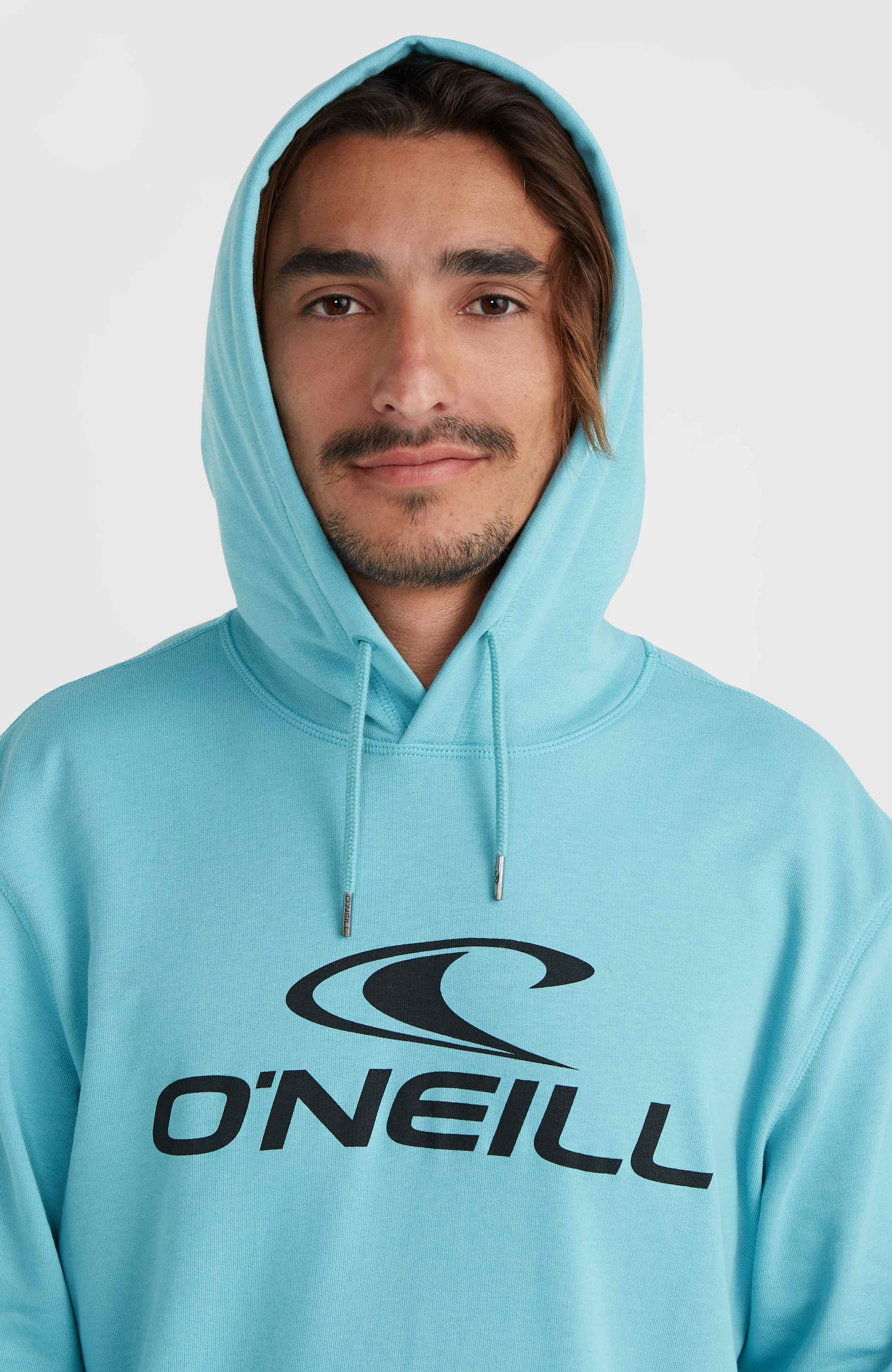 O'Neill Kapuzensweatshirt »O'NEILL LOGO HOODIE«, mit Logodruck