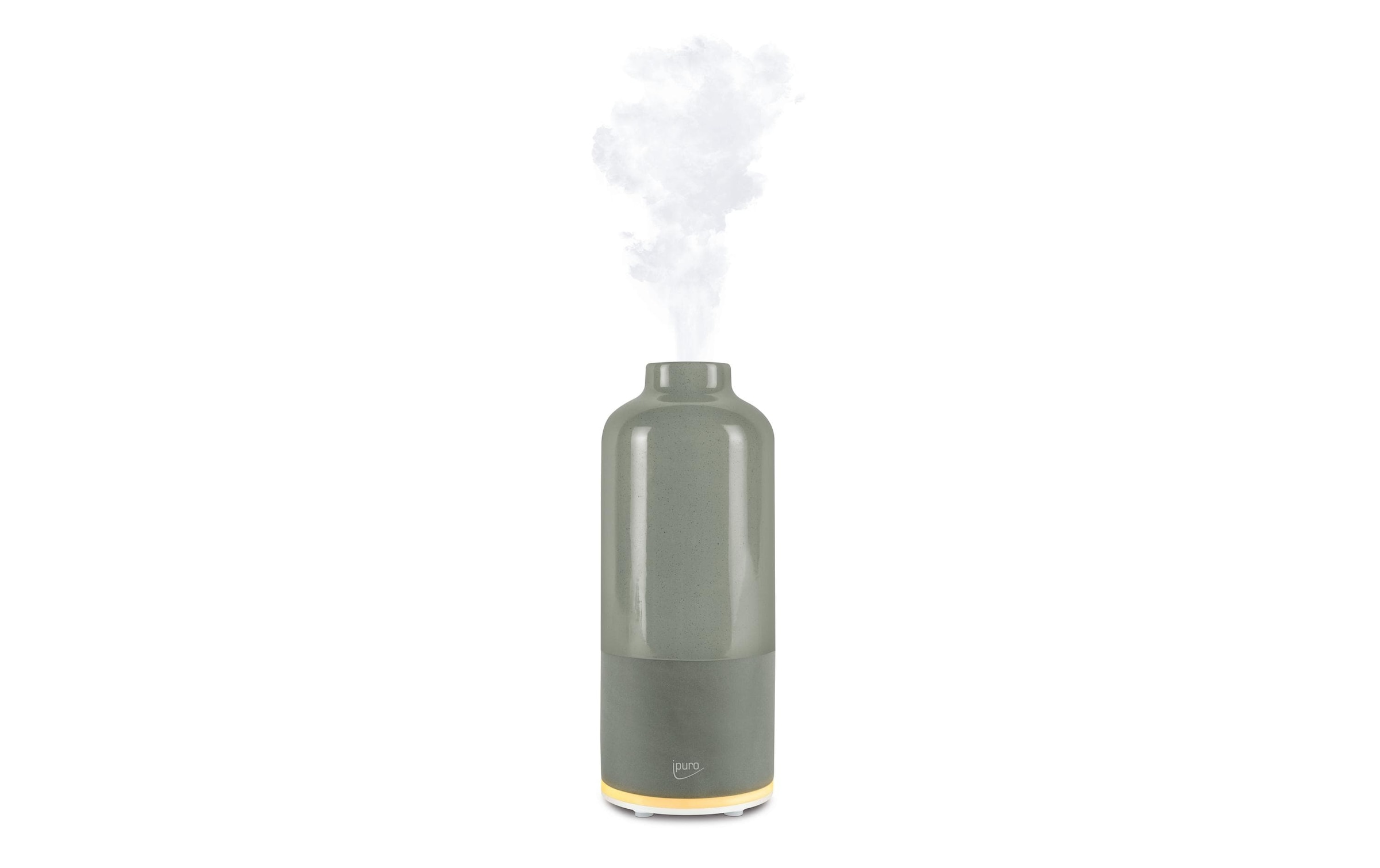 Luftreiniger »Air Sonic aroma bottle grau«