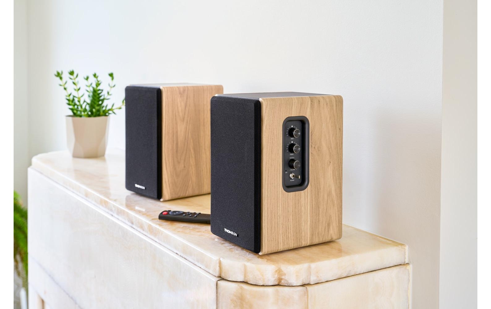 Thomson Bluetooth-Lautsprecher »WS902DUO« ( )