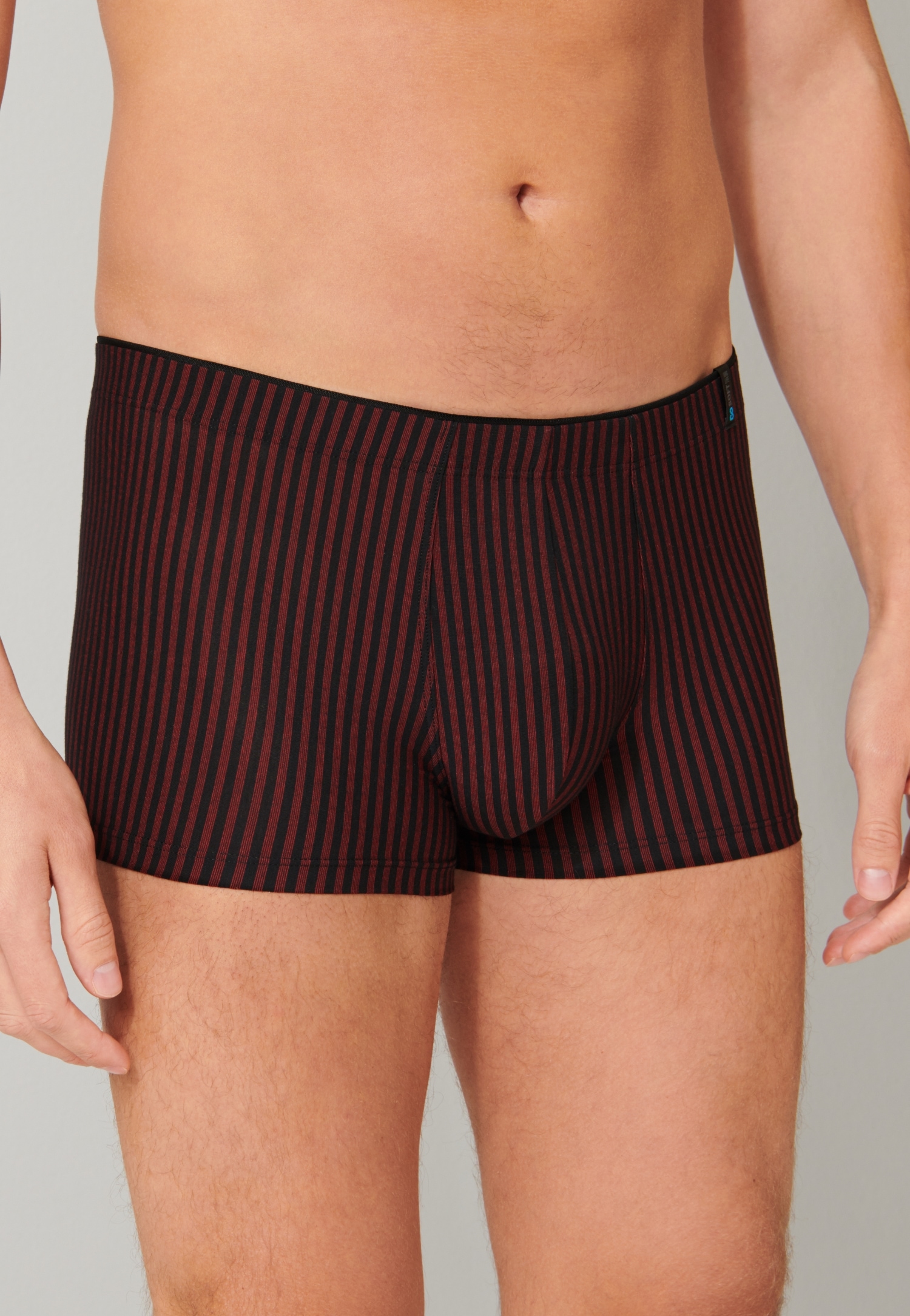 Image of Schiesser Panty "Long Life Soft" reduzierte Pilling-Bildung, ohne Eingriff, Single Jersey