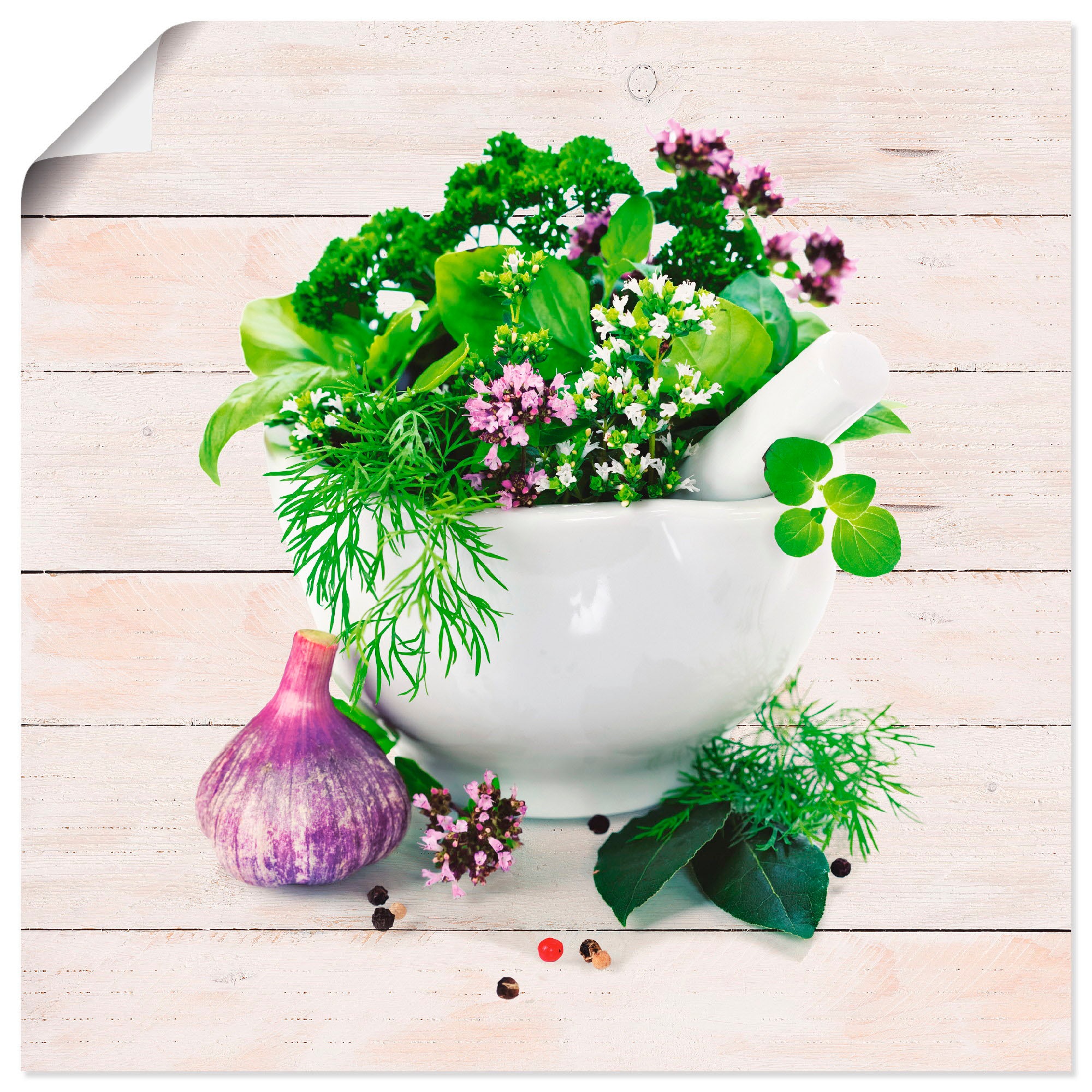 Image of Artland Wandbild »Heilkräuter auf weissem Hintergrund Küche«, Arrangements, (1 St.), in vielen Grössen & Produktarten - Alubild / Outdoorbild für den Aussenbereich, Leinwandbild, Poster, Wandaufkleber / Wandtattoo auch für Badezimmer geeignet bei Ackerman