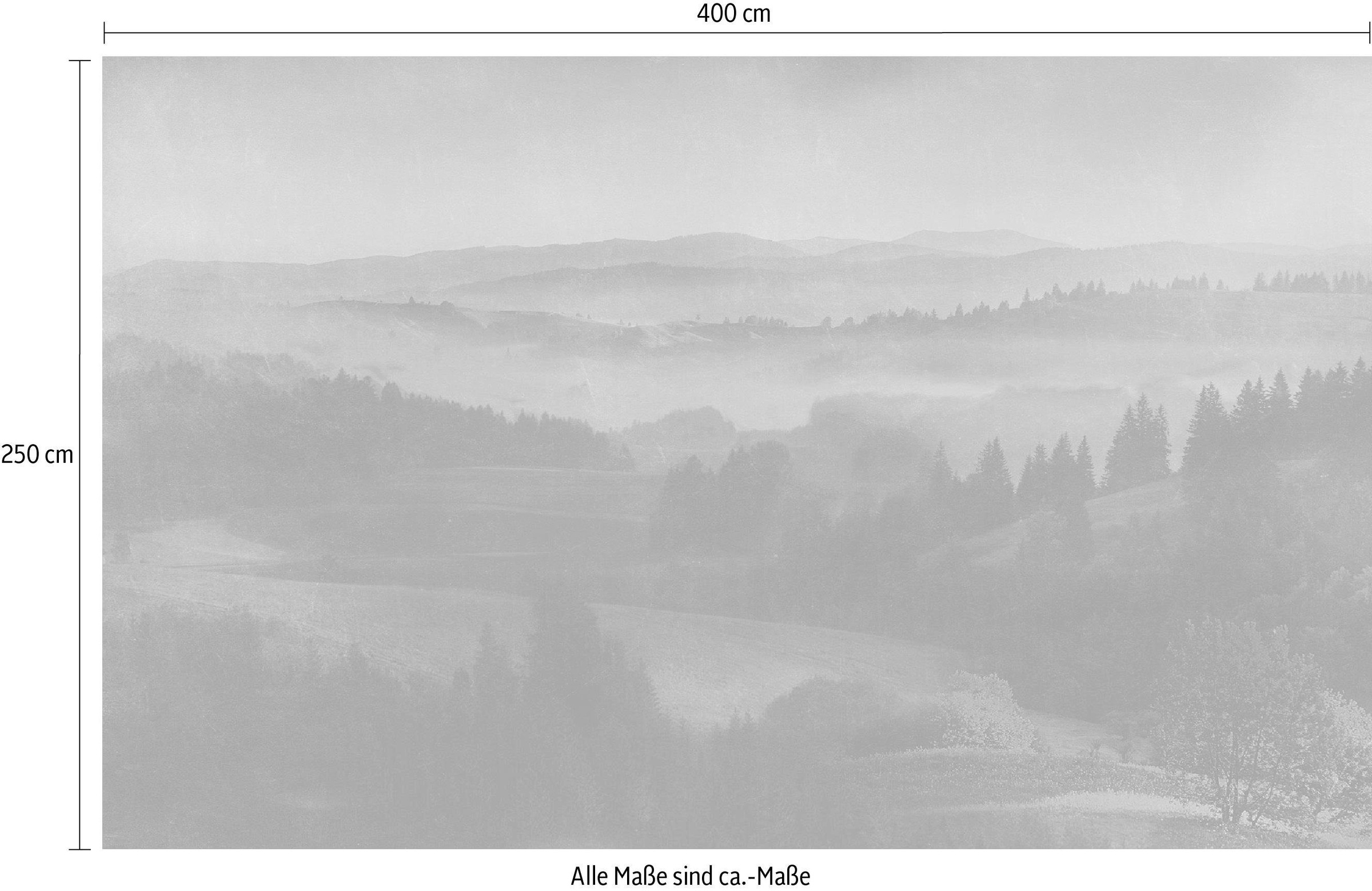 Komar Papier peint intissé »Digitaldruck Vlies -  Twilight - Grösse 400 x 250 cm« imprimé Wohnzimmer, Schlafzimmer