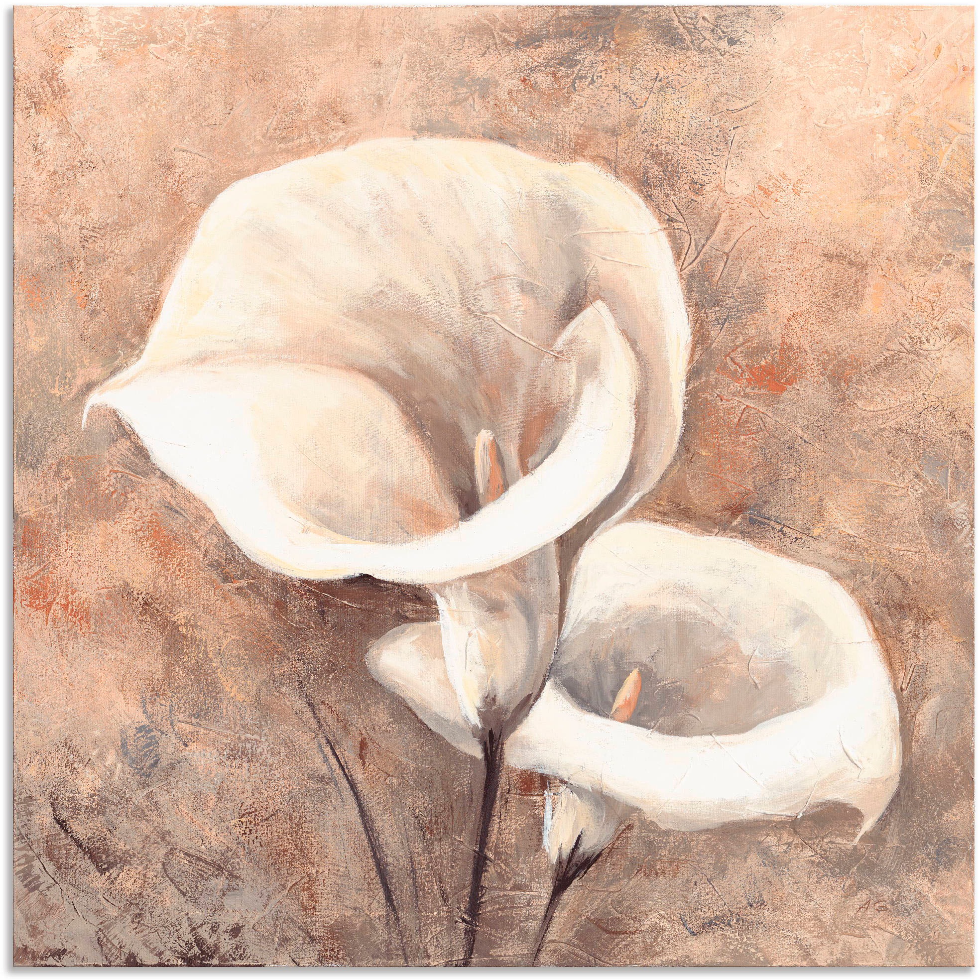 Image of Artland Wandbild »Klassische Callas«, Blumen, (1 St.), in vielen Grössen & Produktarten - Alubild / Outdoorbild für den Aussenbereich, Leinwandbild, Poster, Wandaufkleber / Wandtattoo auch für Badezimmer geeignet bei Ackermann Versand Schweiz