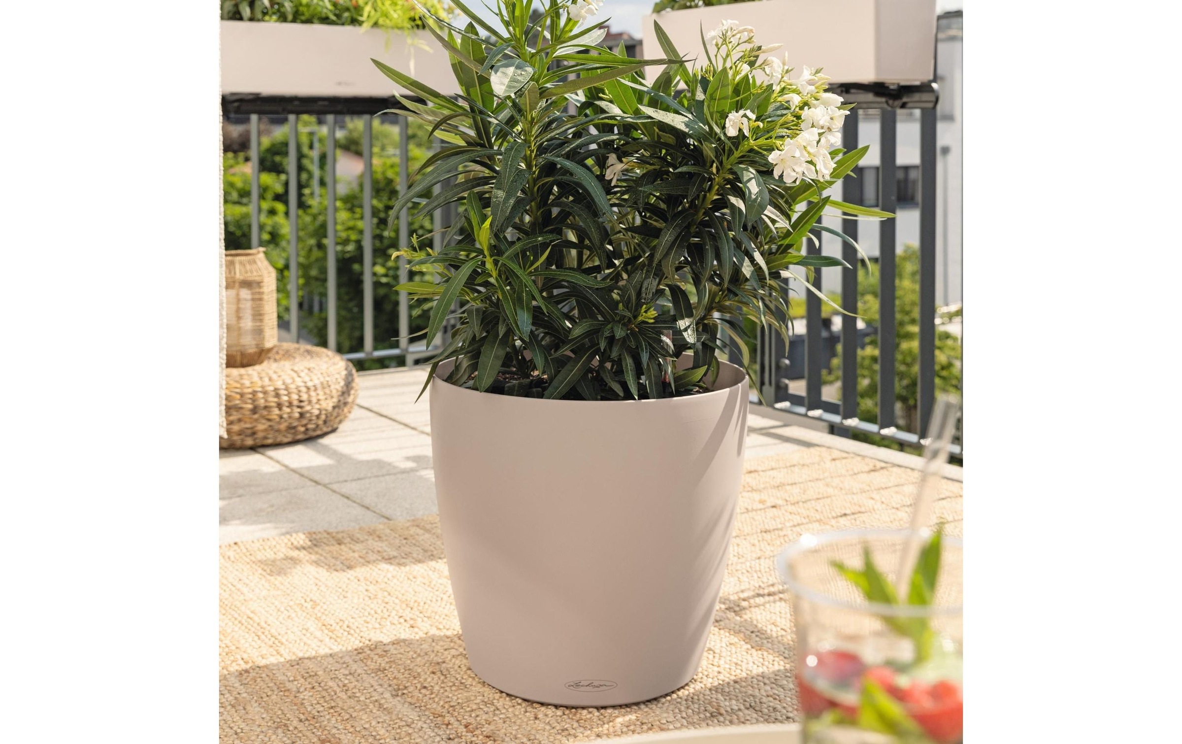   Blumentopf »Lechuza CLASSICO Eco 43«