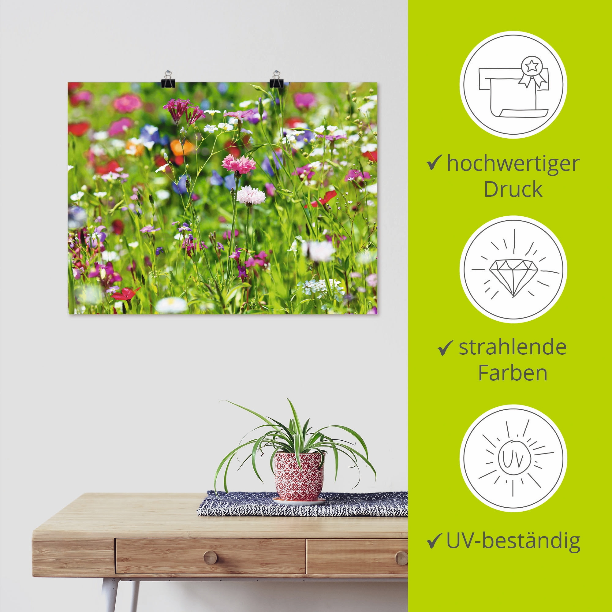 Artland Wandbild »Blumenwiese I« Blumenwiese 1 Stk. tlg. als Leinwandbild, Poster in verschied. Grössen