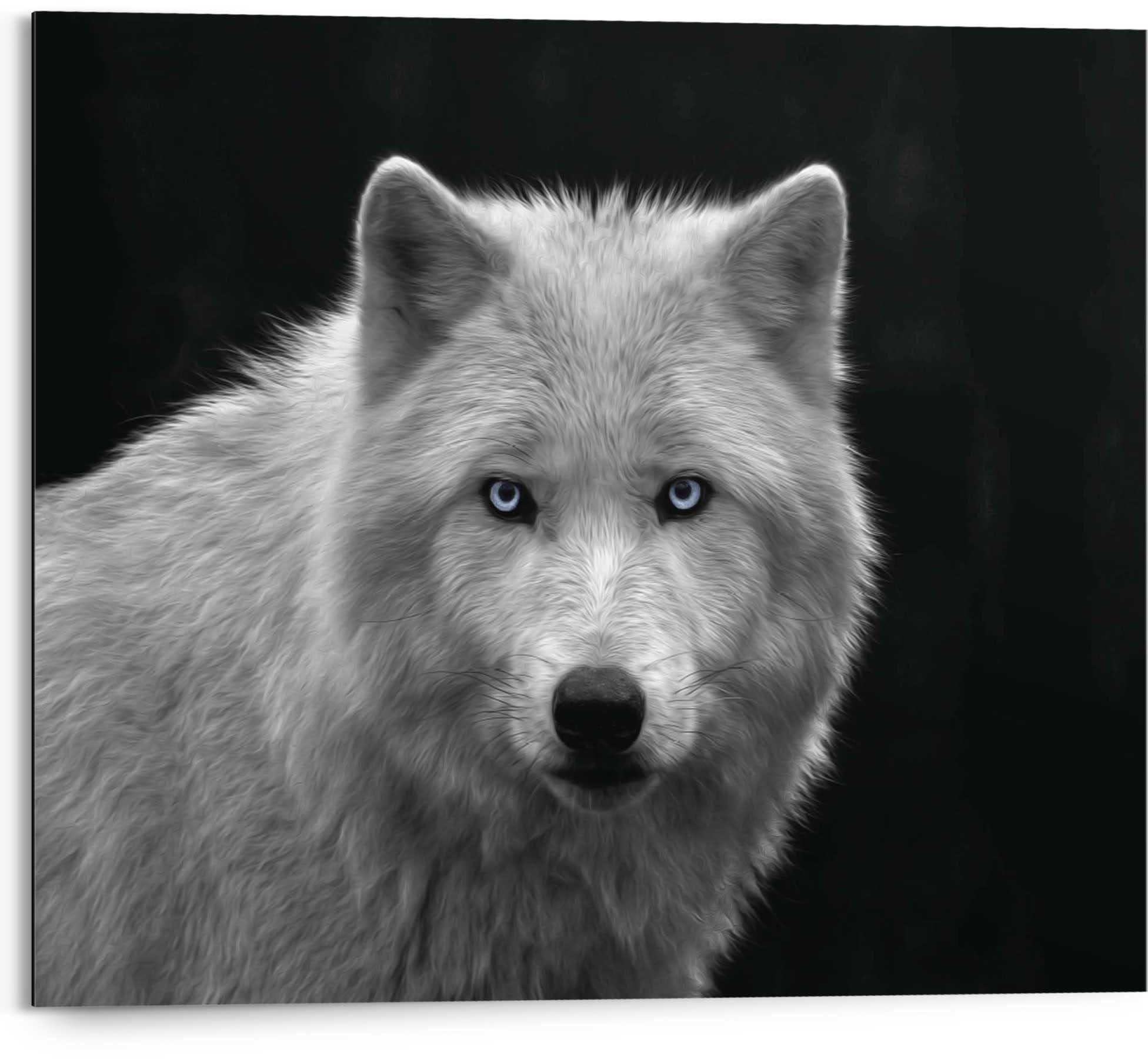 ♕ Reinders! auf »Weisser Wandbild Wolf« versandkostenfrei