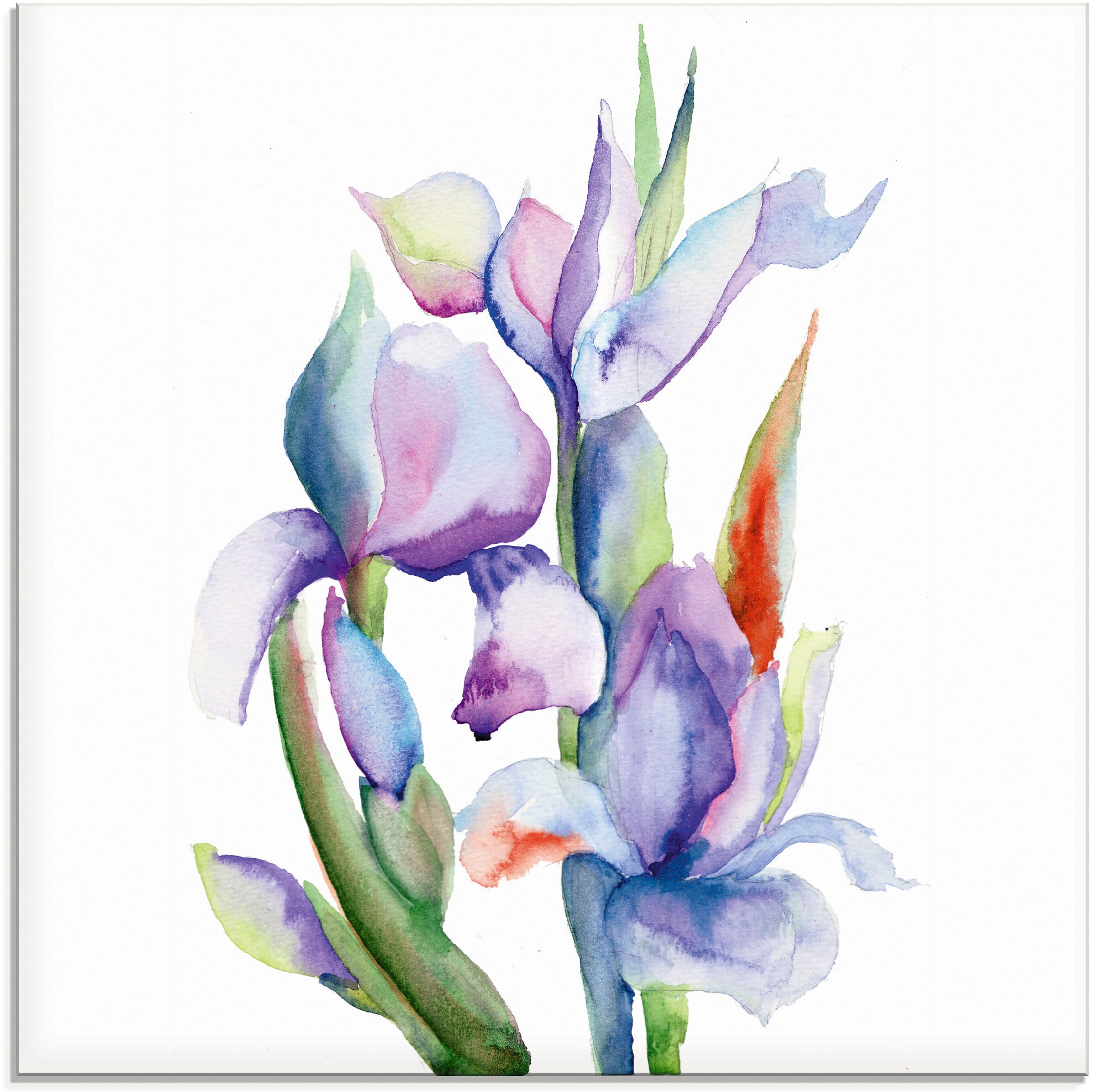 Image of Artland Glasbild "Iris" Blumen 1 Stk. tlg. in verschiedenen Grössen