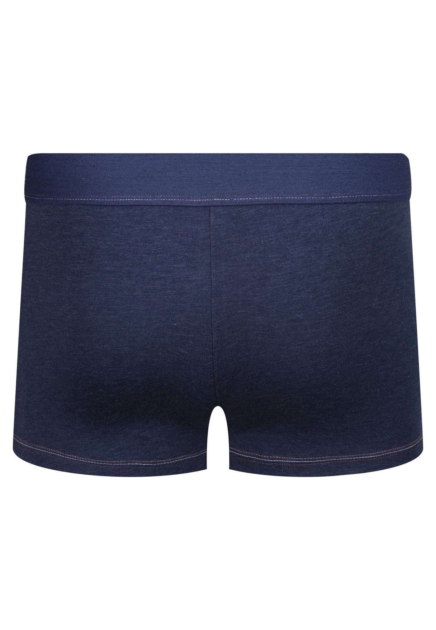 Lee® Trunk »LEE Panties 3 Pack Trunks Rushton«