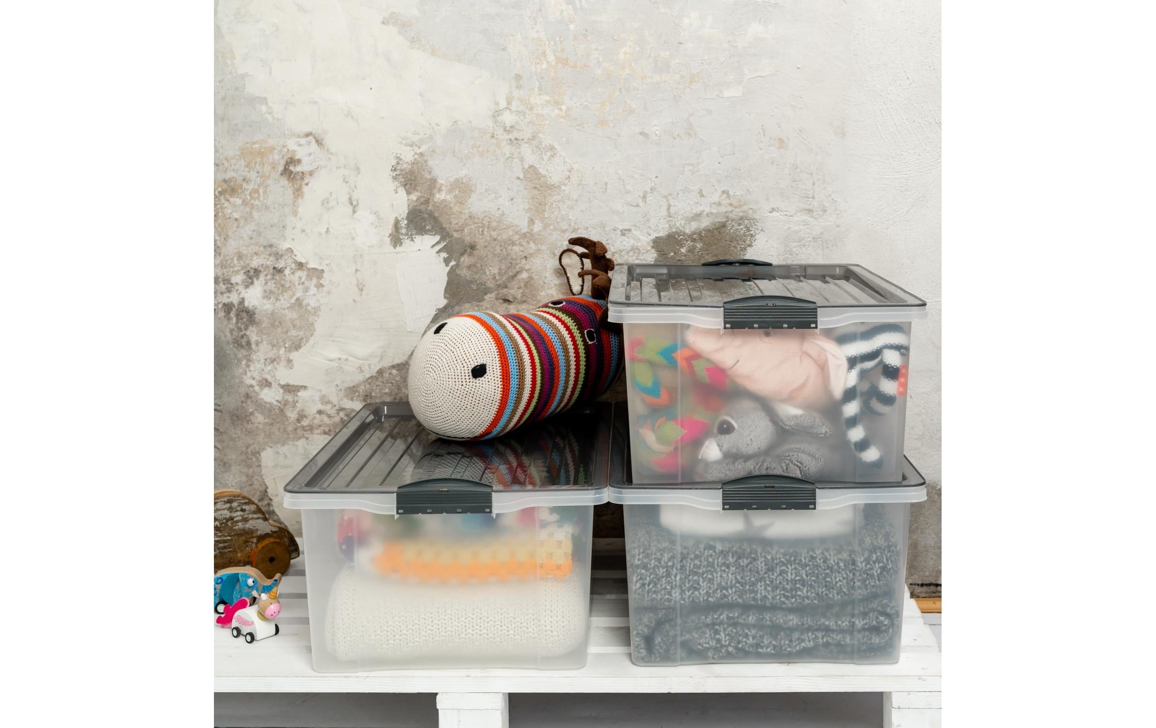 ROTHO Aufbewahrungsbox »COMPACT, 3 tlg.«, (3 St.)