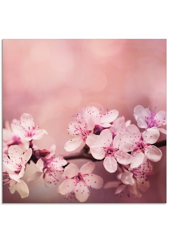 Artland Glasbild »Kirschblüten«, Blumen, (1 St.) kaufen