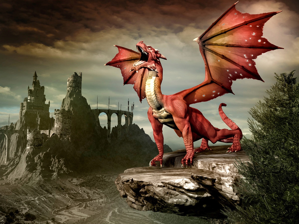 Image of Papermoon Fototapete "roter Drache"