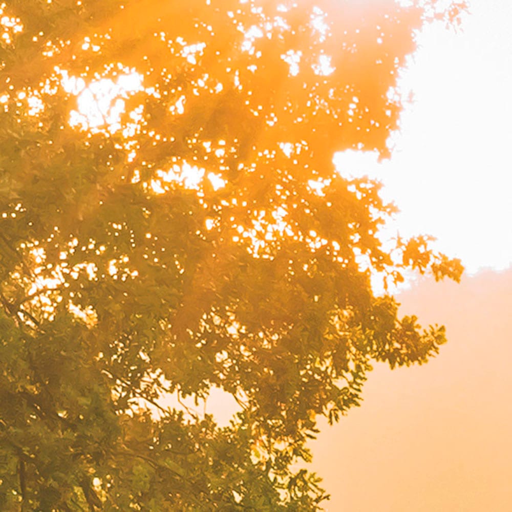 Komar Fototapete »Digitaldruck Vlies -  Devil's Bridge - Grösse 400 x 250 cm« bedruckt glatt Wohnzimmer, Schlafzimmer