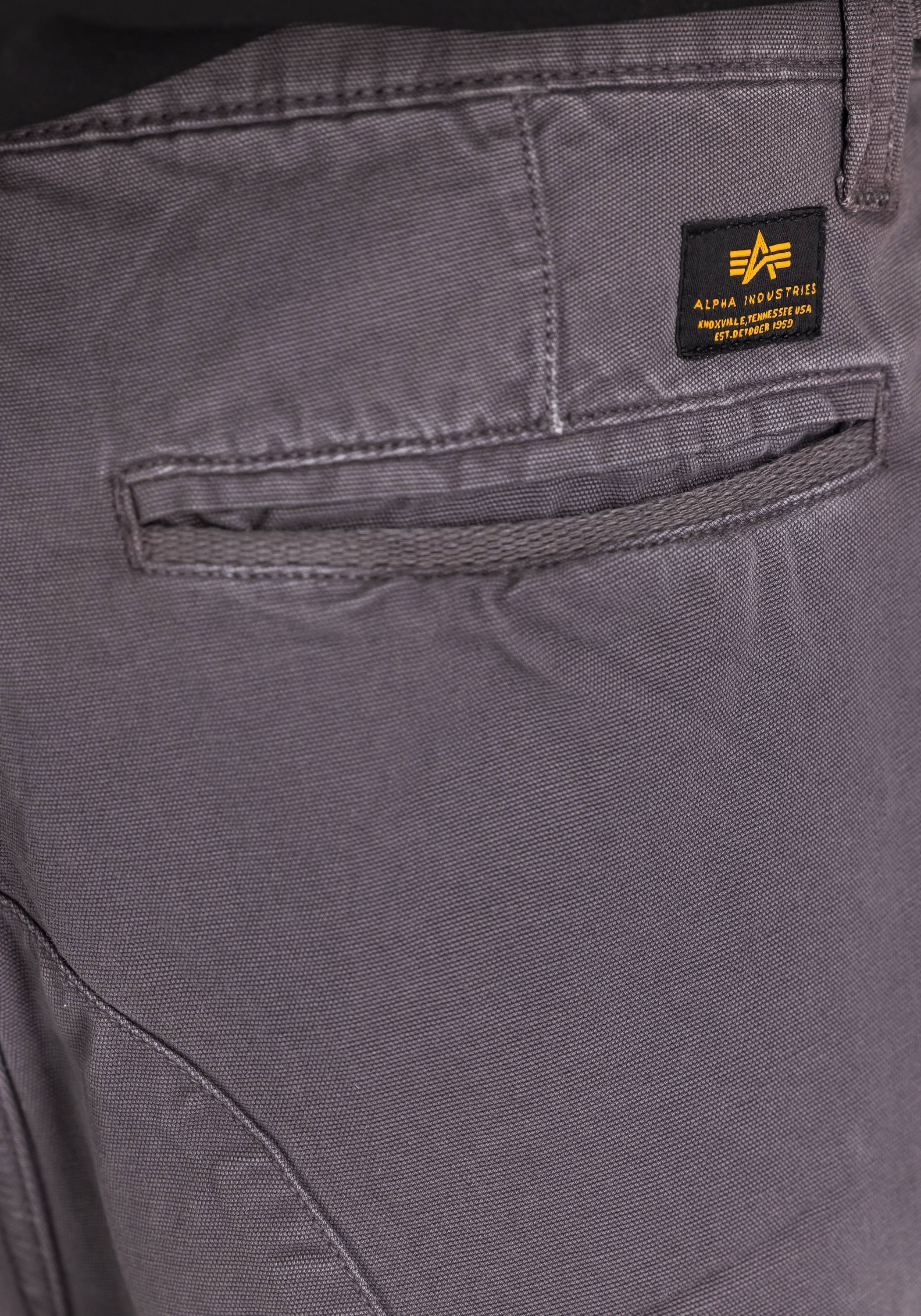 Alpha Industries Shorts »Canvas Cargo Short«