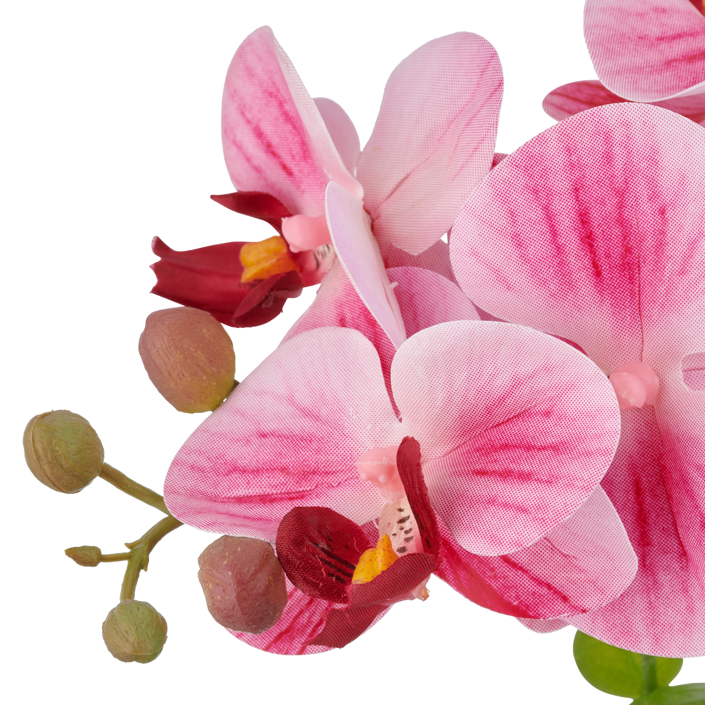 Creativ green Orchidée artificielle »Orchidee Phalaenopsis« mit Eukalyptuszweigen