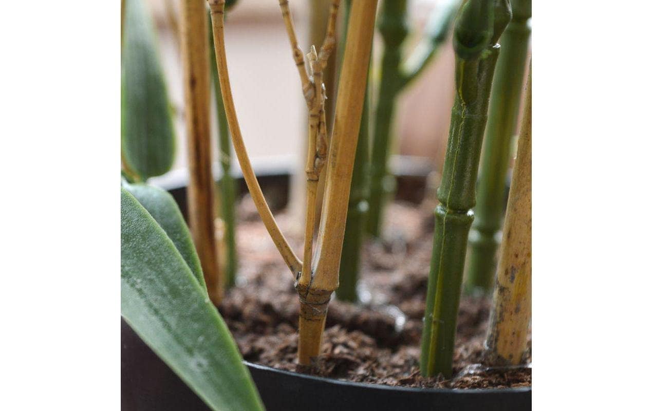 Botanic-Haus Kunstblume »Bambus Japanisch, UV-Bestand.«