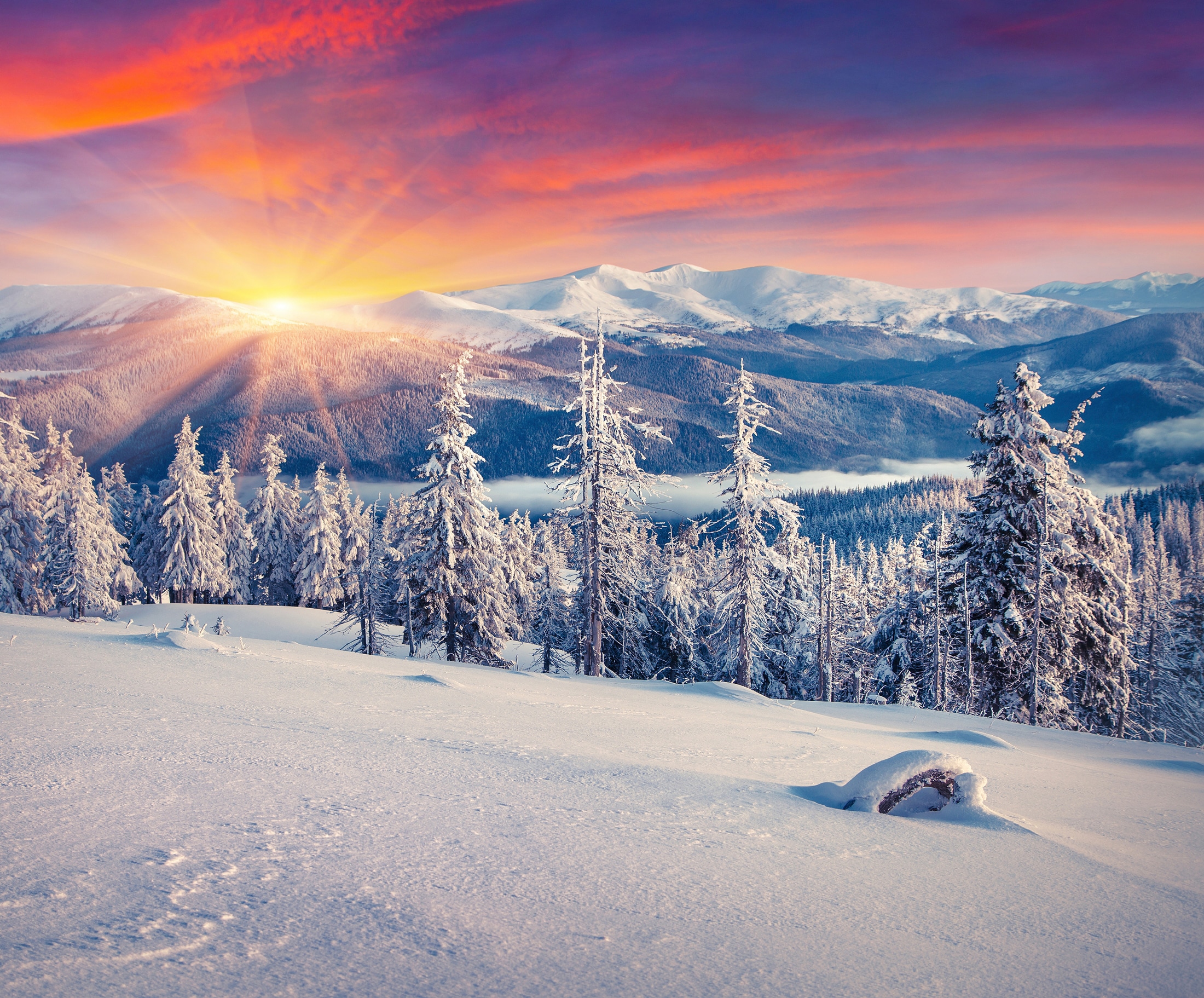 Image of Papermoon Fototapete "ALPEN-WINTER GEBIRGE XXL"