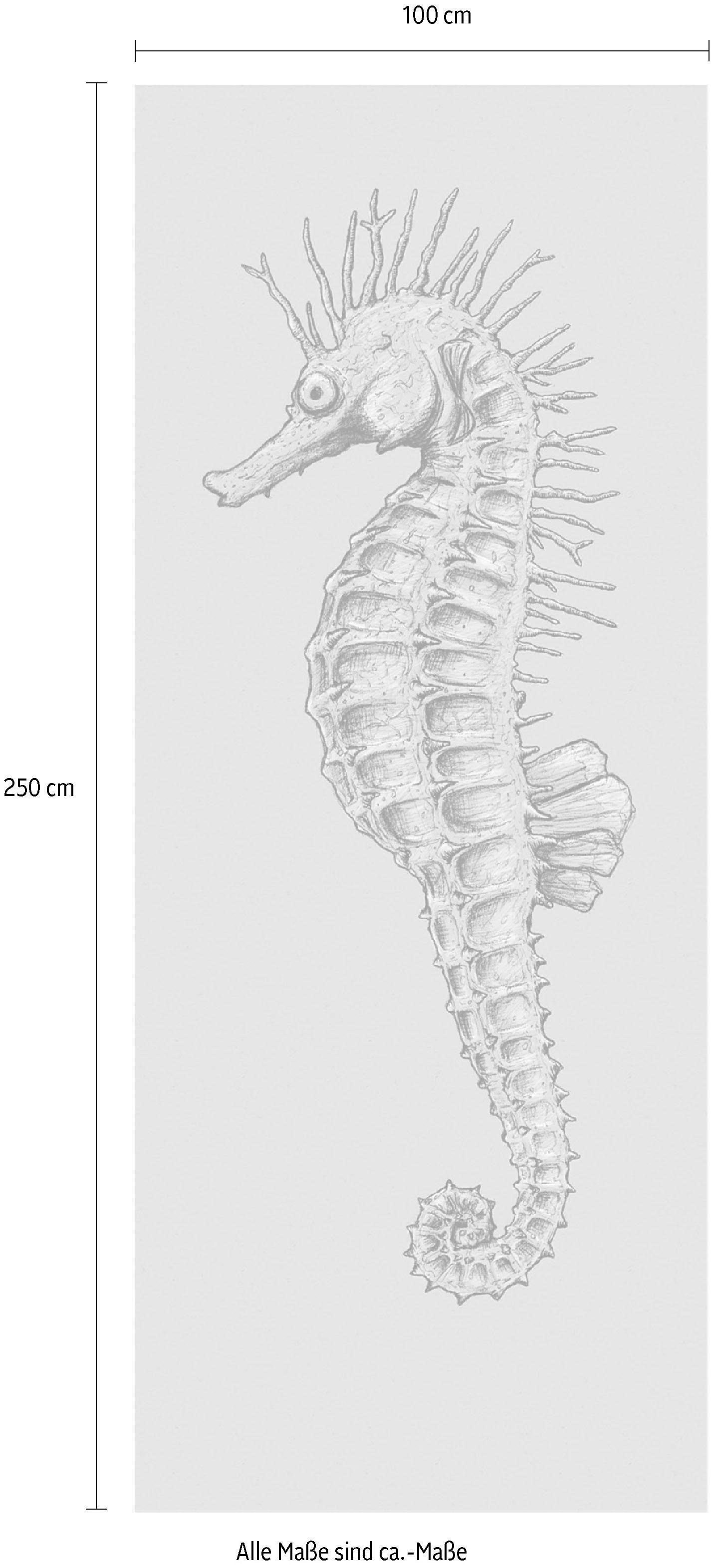 Komar Vliestapete »Digitaldruck Vlies - Seahorse Panel - Grösse 100 x 250 cm«, bedruckt, Wohnzimmer, Schlafzimmer