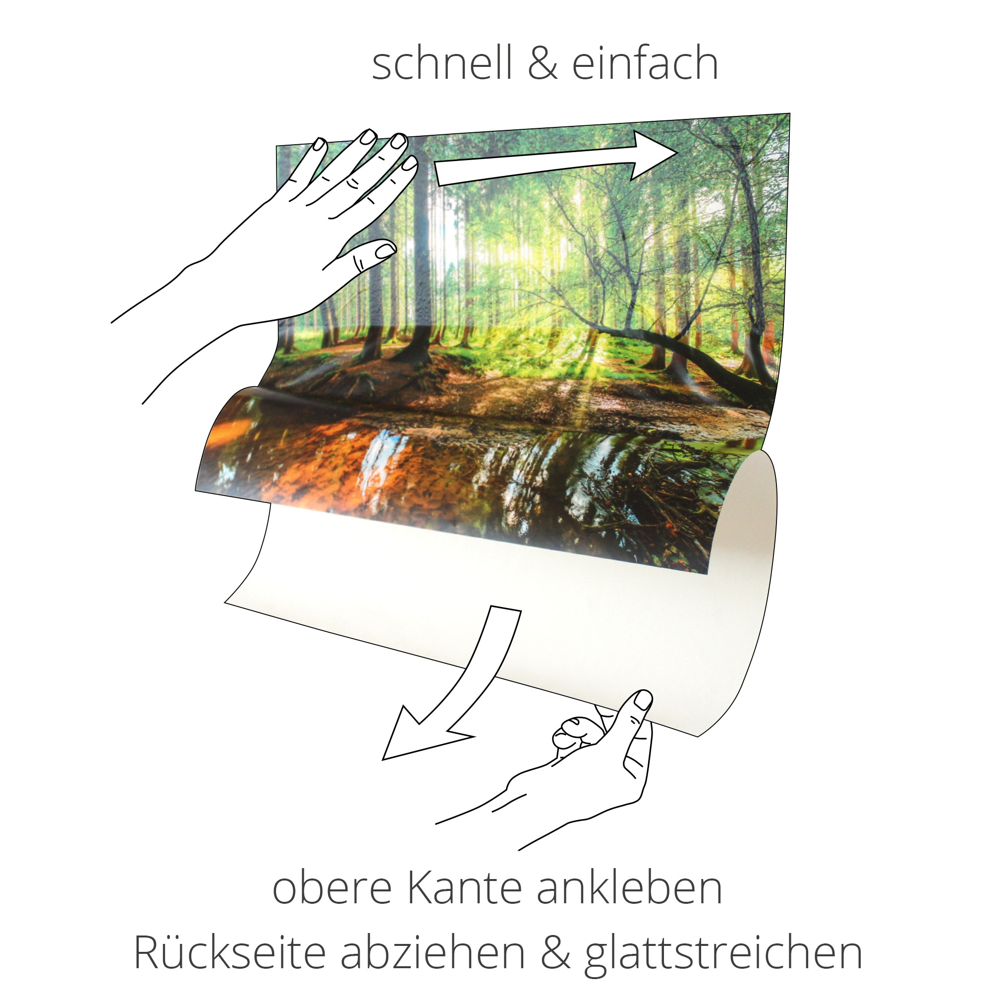 in (1 Familie«, als Alubild, Grössen versch. Artland »Schwanen St.), kaufen Vögel, oder Wandbild Leinwandbild, Wandaufkleber Poster