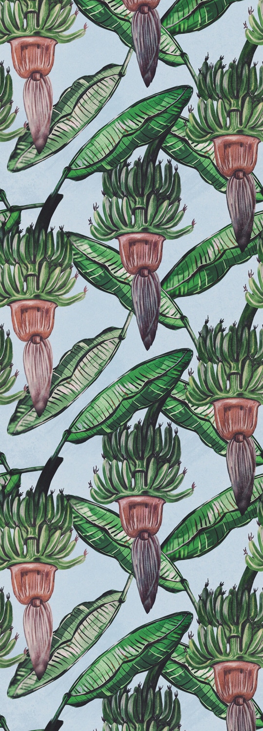 Image of queence Vinyltapete "Robert" Motiv bedruckt botanisch floral gemustert natürlich glatt 90x250cm, selbstklebend, kinderleichte Anbringung, Sticker