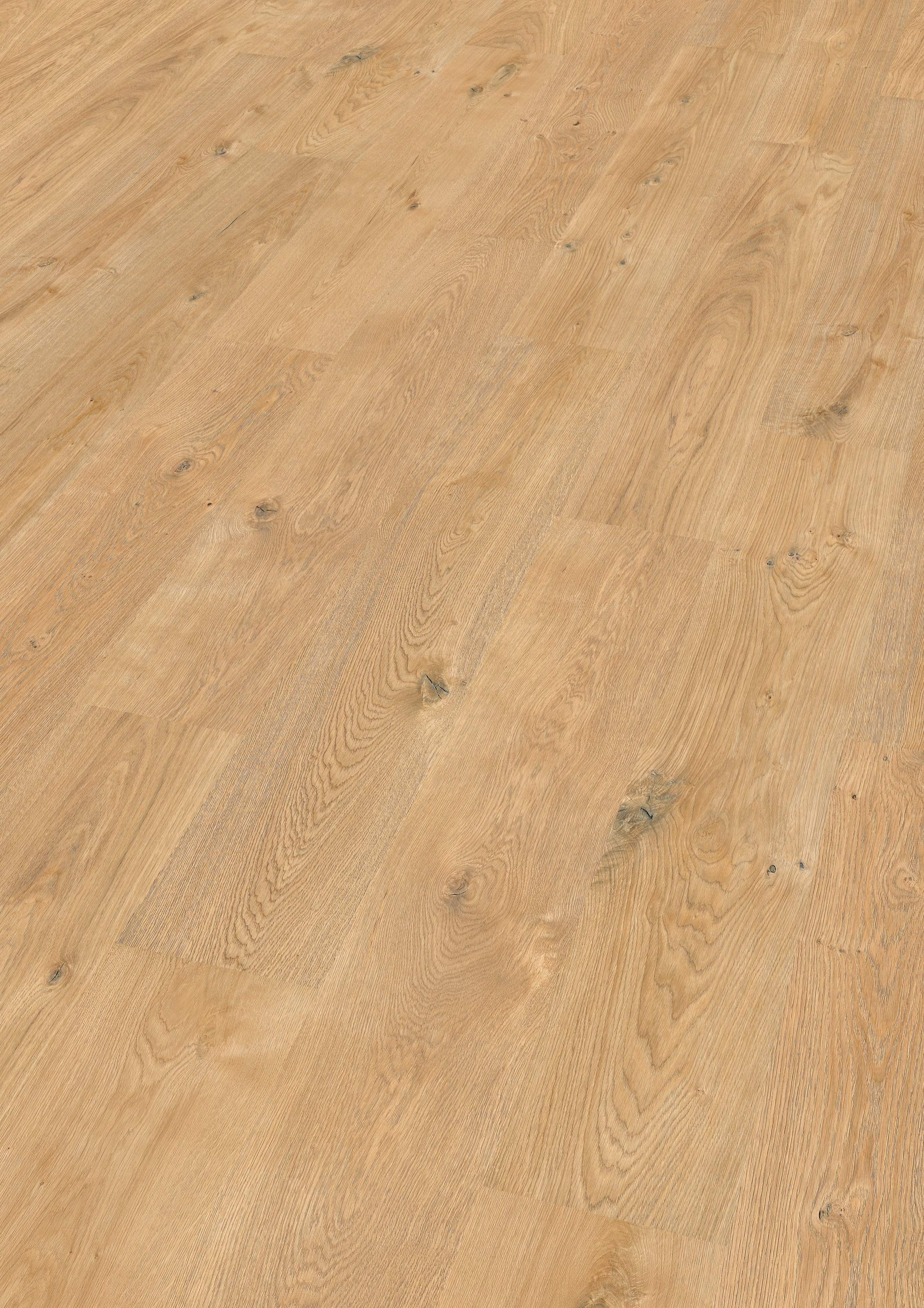 Image of EGGER Korklaminat »HOME Comfort Jacksonville Eiche natur«, ohne Fuge, 1,985 m²/Pkt., Stärke:8 mm bei Ackermann Versand Schweiz