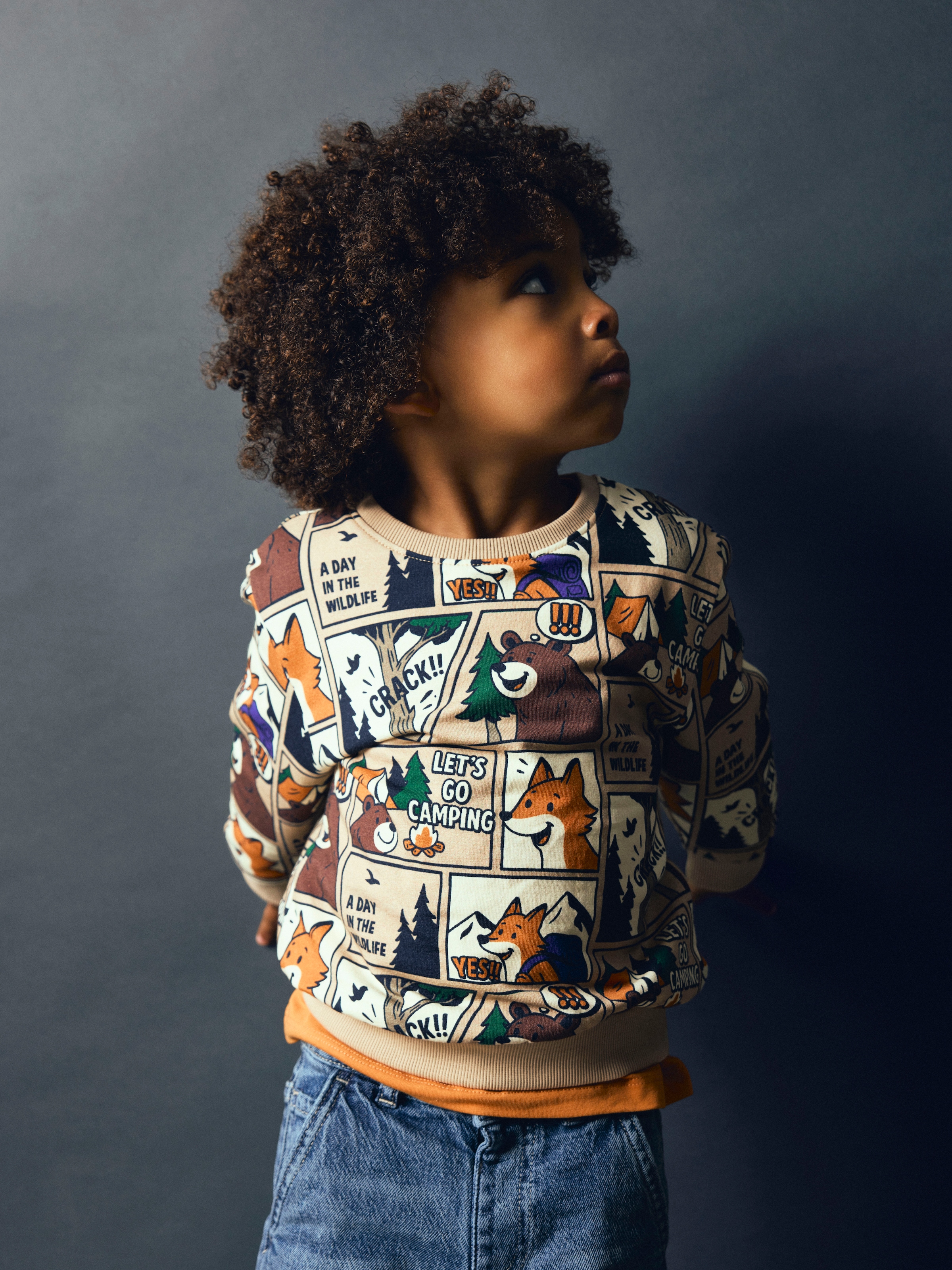 Image of Name It Sweatshirt "NMMOSWALDY LS NREG SWEAT BRU BOX", Baumwollmischung, regular fit, Comic Print